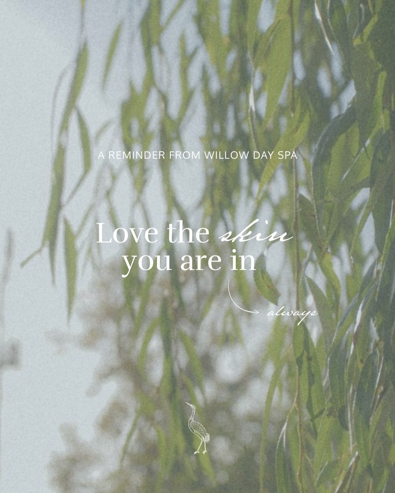 A little reminder from Willow: Love the skin you&rsquo;re in&mdash;because it&rsquo;s the only one you&rsquo;ve got. Care for it with kindness, treat it with intention, and watch it glow with gratitude!✨💚🕊️

#willowdayspa #evansga #augustaga #evans