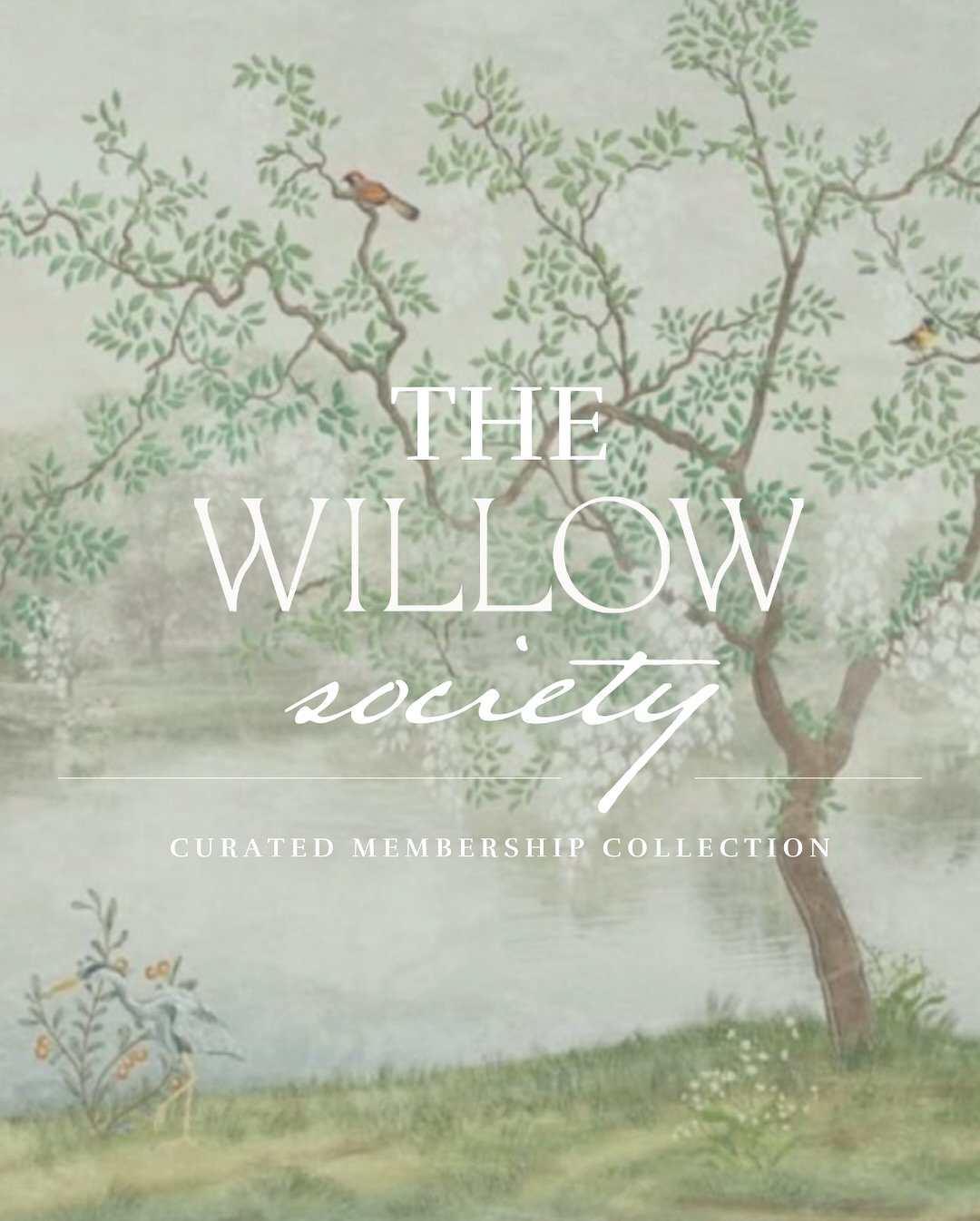 At Willow Day Spa, we believe that beauty and wellness thrive with consistency and care. 
That&rsquo;s why we created The Willow Society&mdash;a curated membership collection made for those who cherish the art of slowing down, showing up for themselv