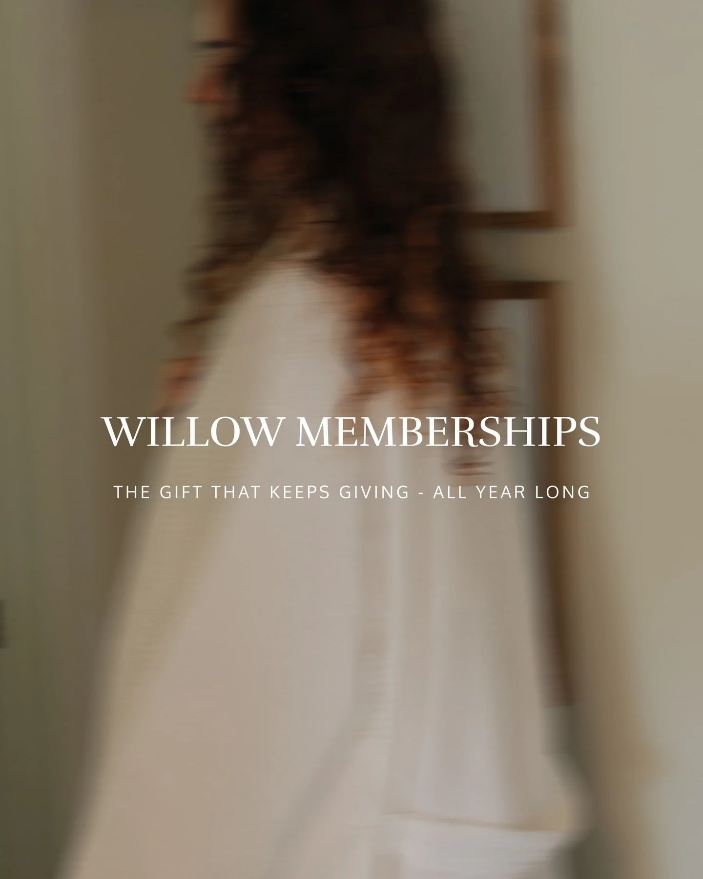 Want a gift that lasts all year?
Memberships at Willow include monthly services, perks, and discounts.