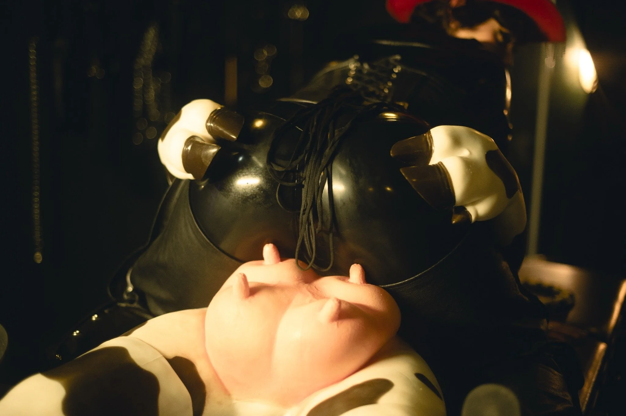 Photo Feb 11 2026, 11 35 07 PM (68) (1).jpg