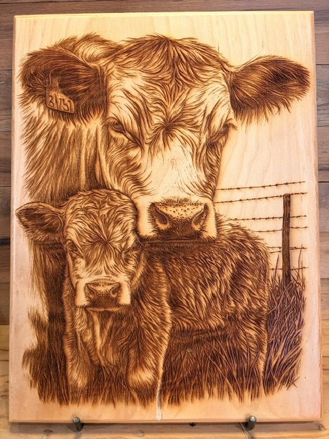 Cow & Calf