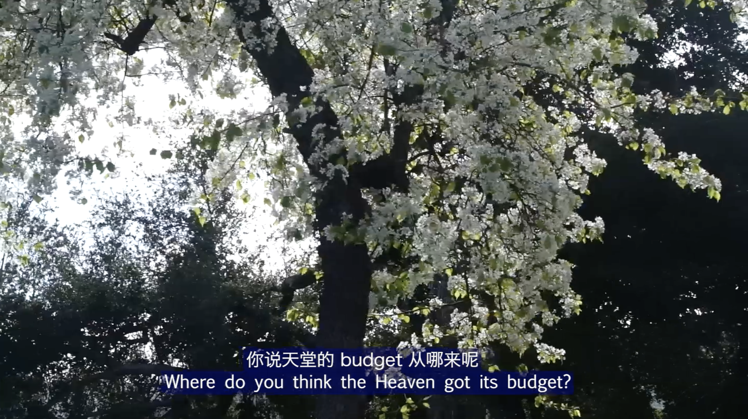 截屏2024-04-30 下午6.49.33.png
