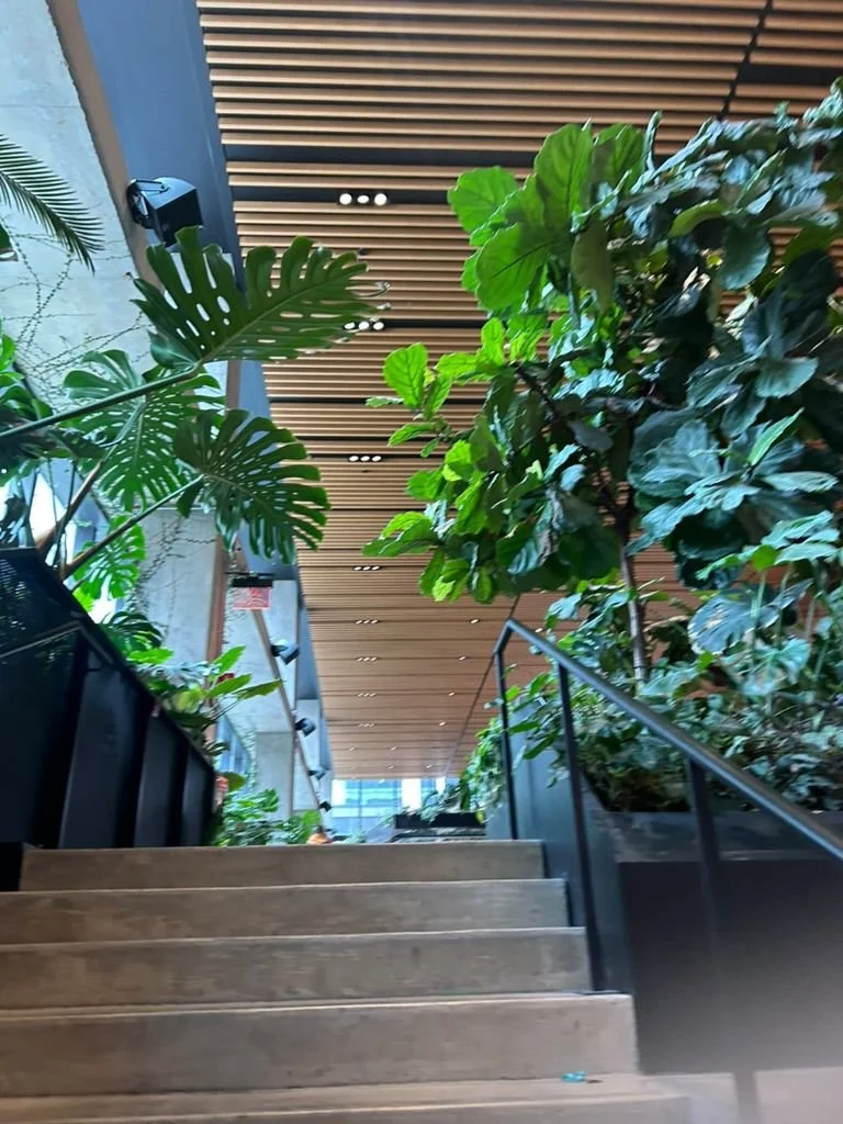 WhatsApp Image 2025-02-04 at 1.49.10 PM.jpeg