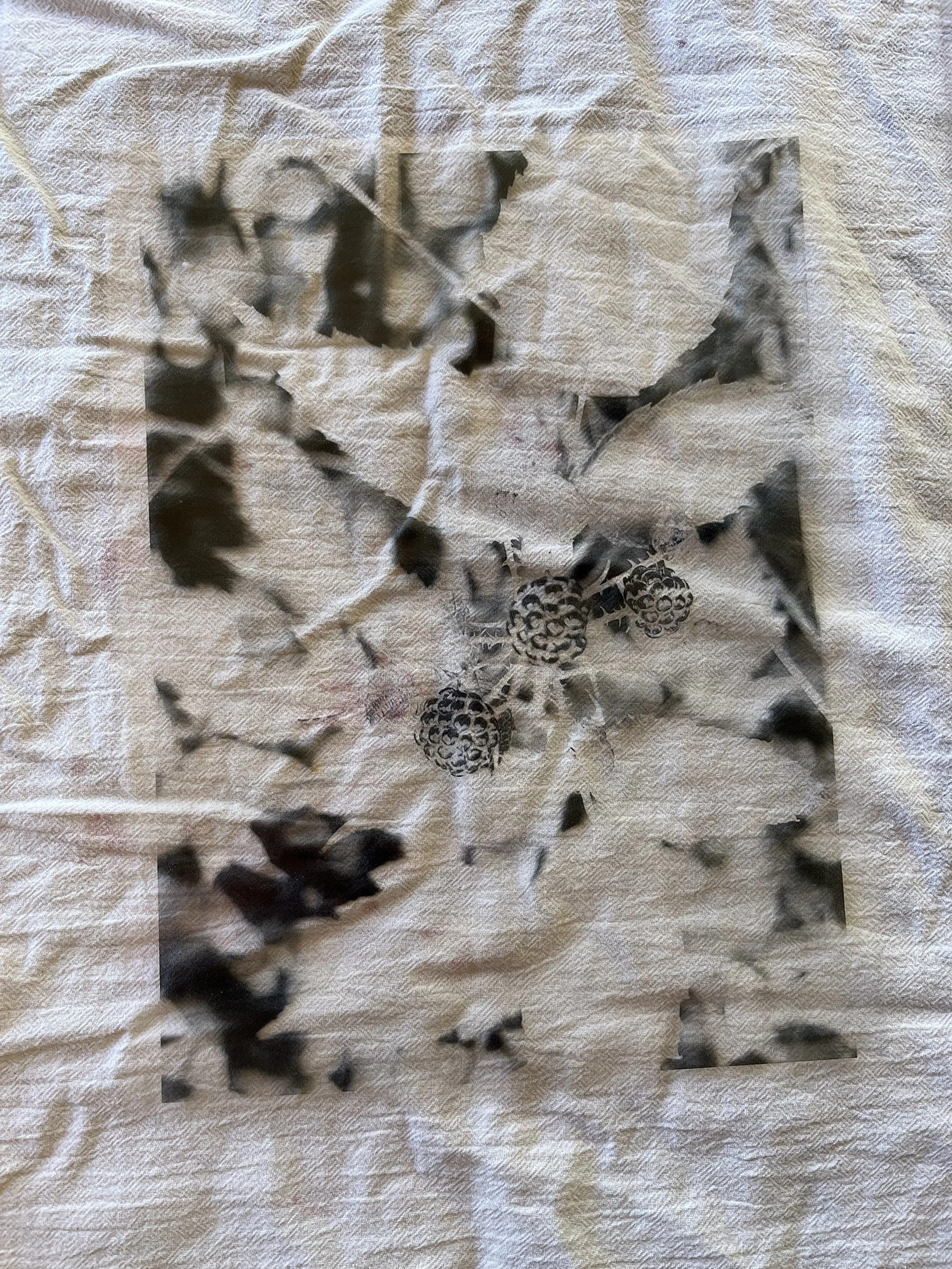 Cyanotypes on Fabric