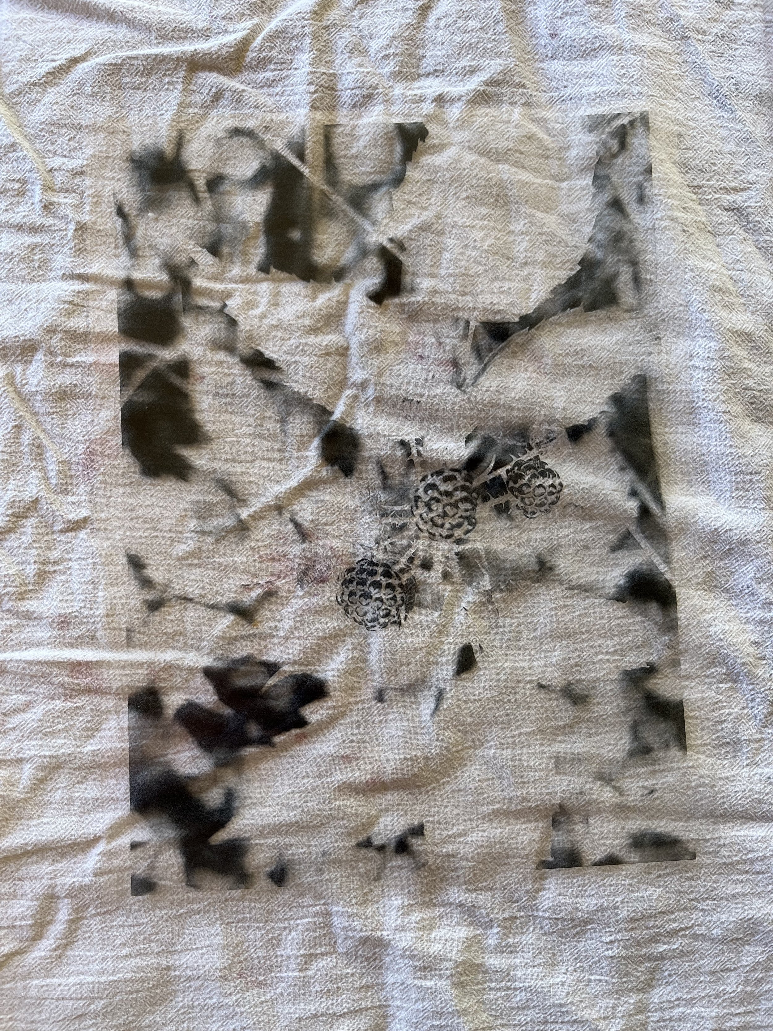 cyanotype.jpg