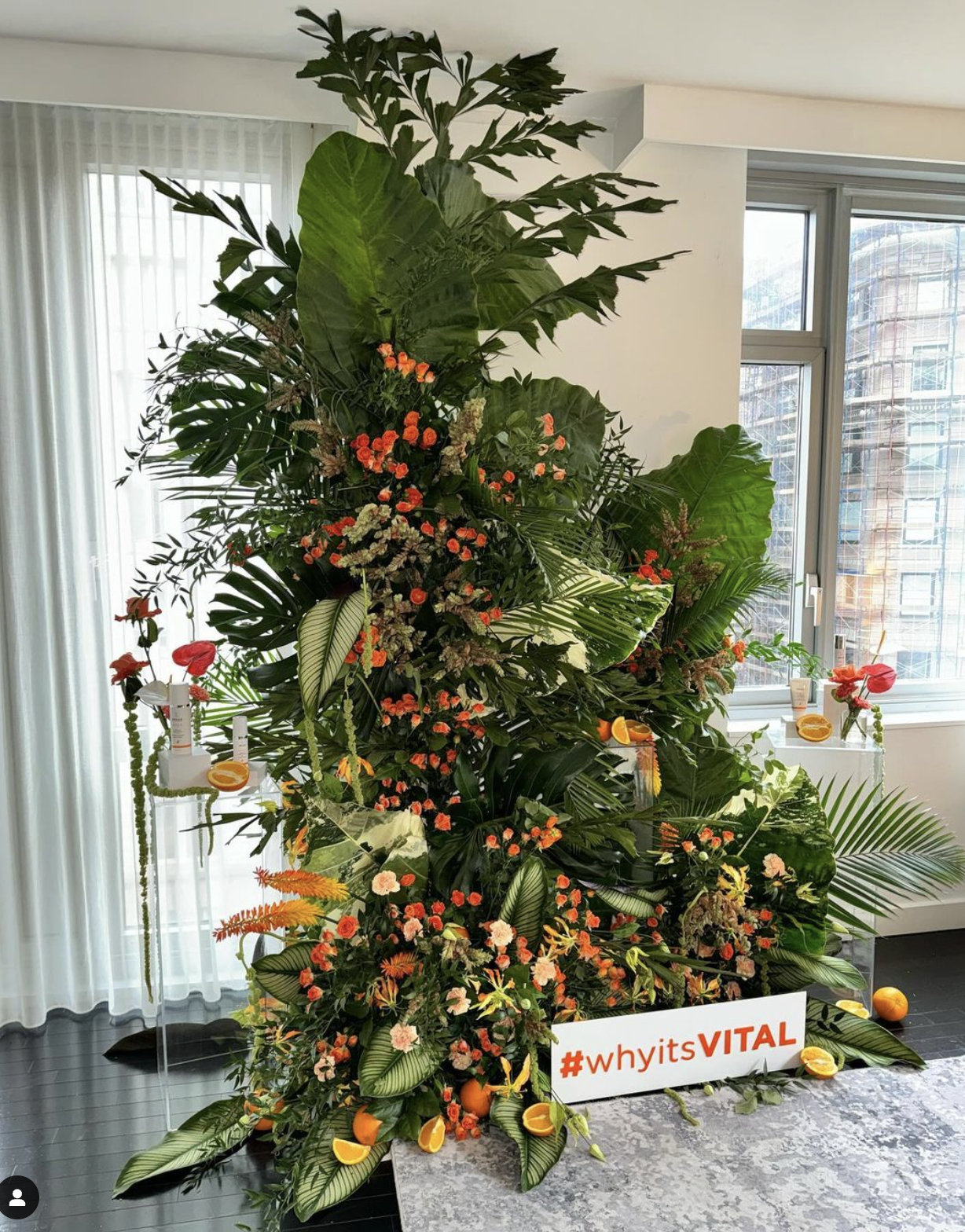 Screenshot 2024-06-05 at 2.46.51 PM.png