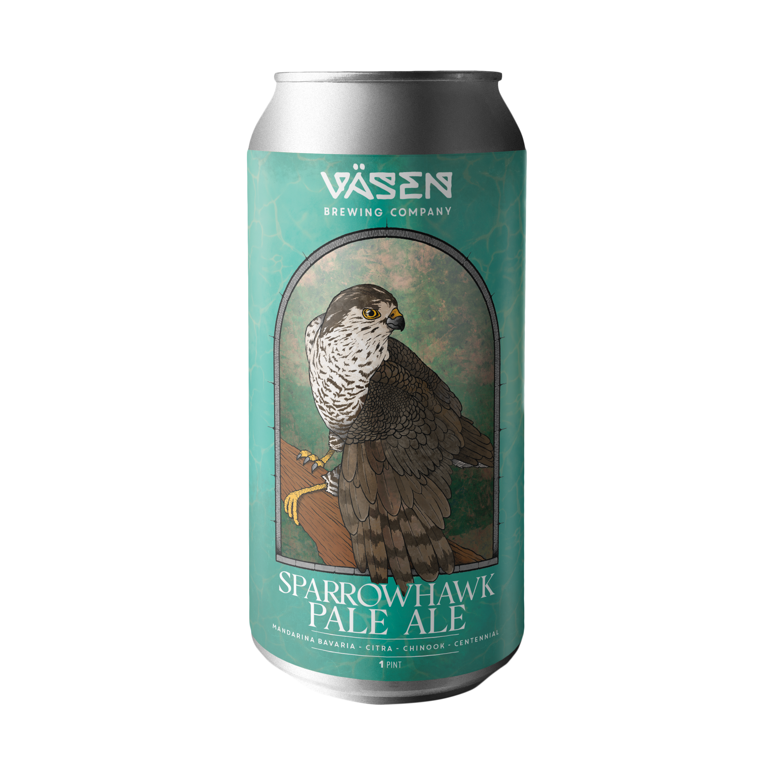 2025-Sparrowhawk.png