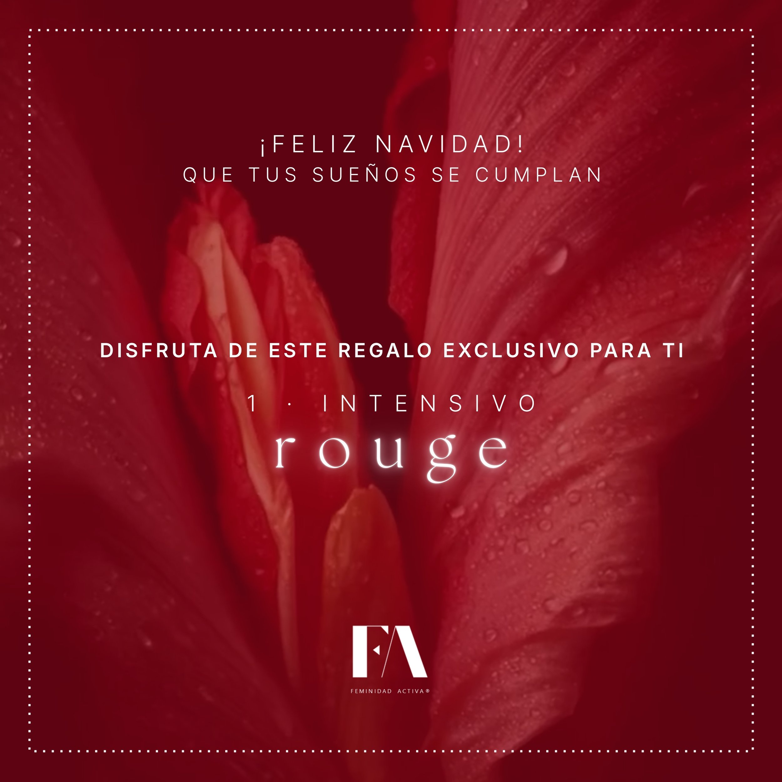 Bono regalo _ ROUGE _ Feliz navidad.jpg