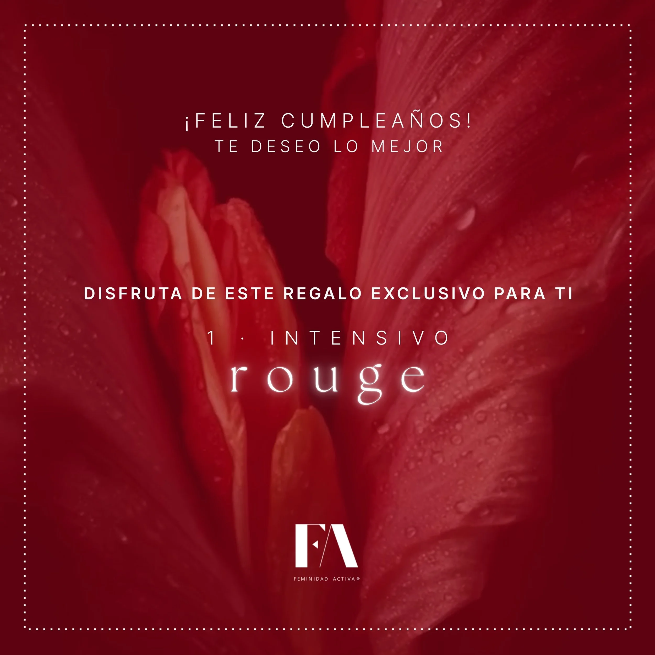 Bono regalo _ ROUGE _ Feliz cumpleaños.jpg