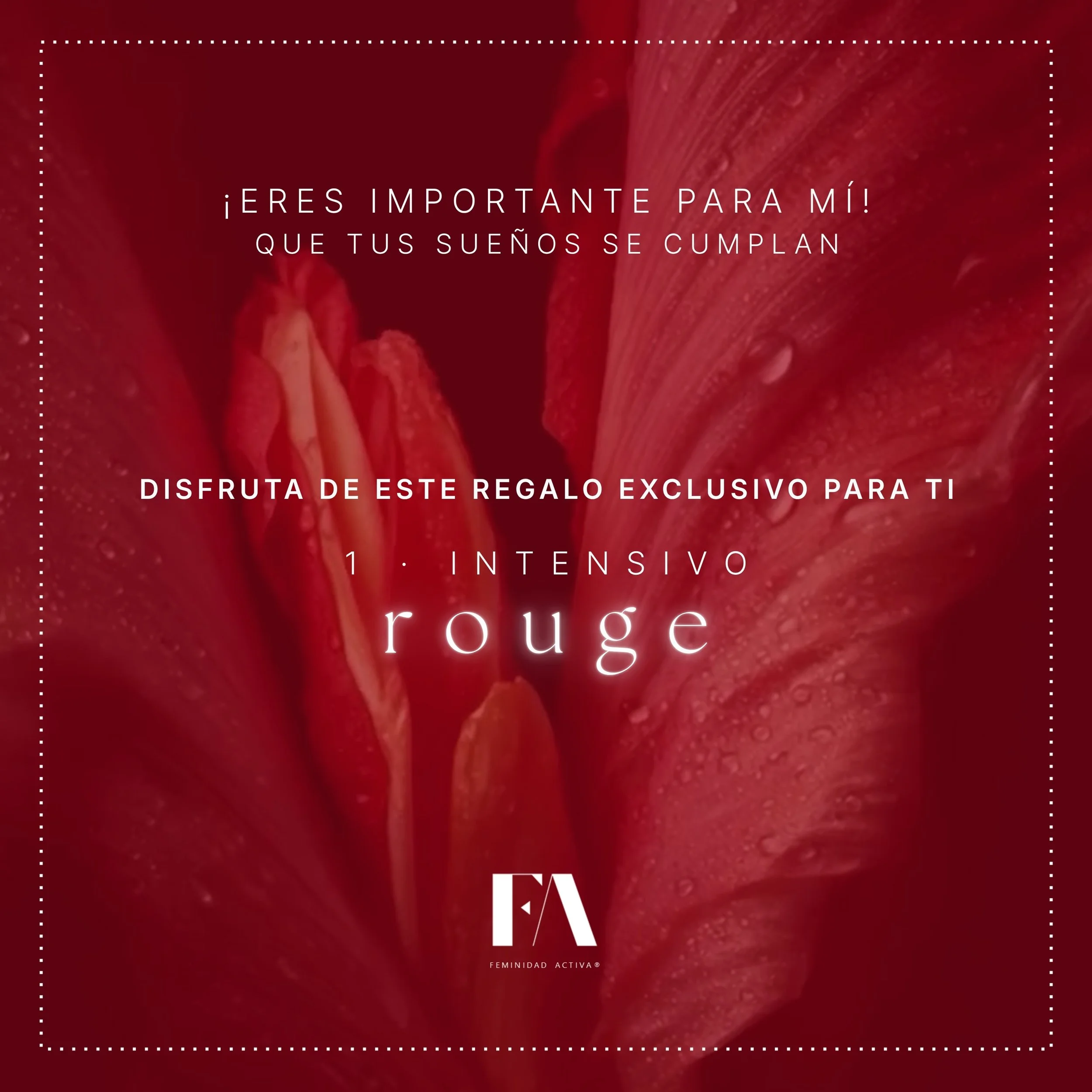 Bono regalo _ ROUGE _ Eres importante para mí.jpg
