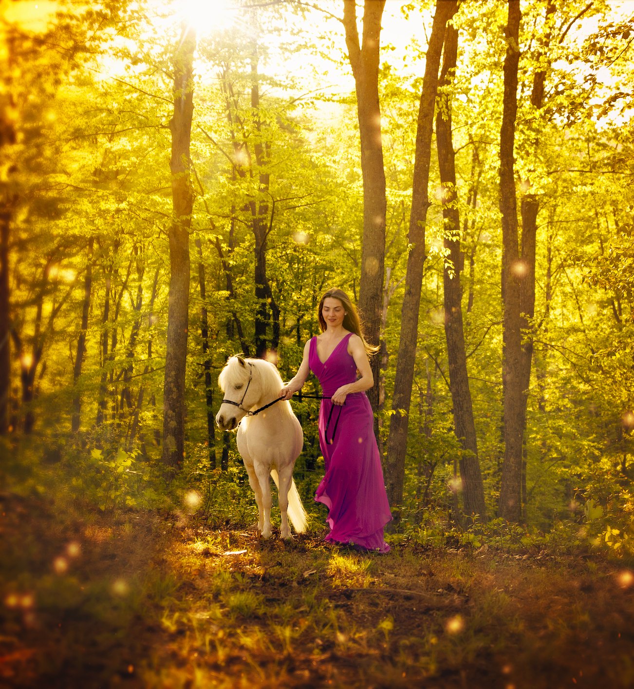 Screenshot 2024-05-04 at 9.38.15 AM.jpg