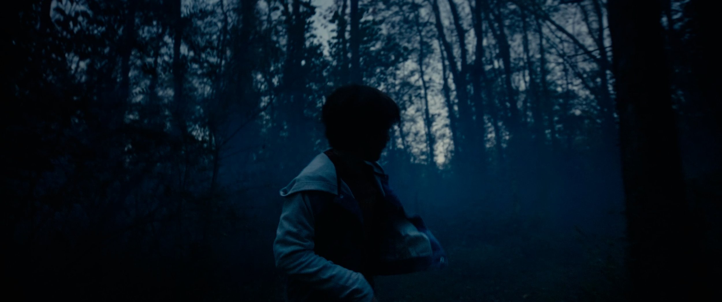 Wildman_Film_Stills.00_00_32_19.Still005.jpg