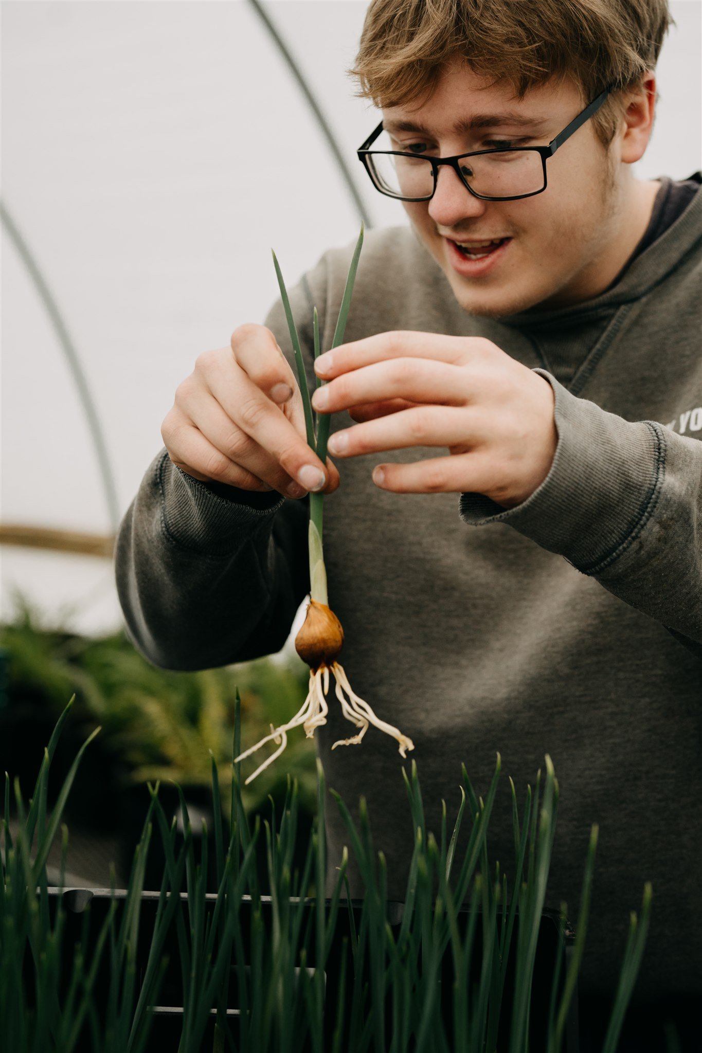 Are your bulbs ready to go?