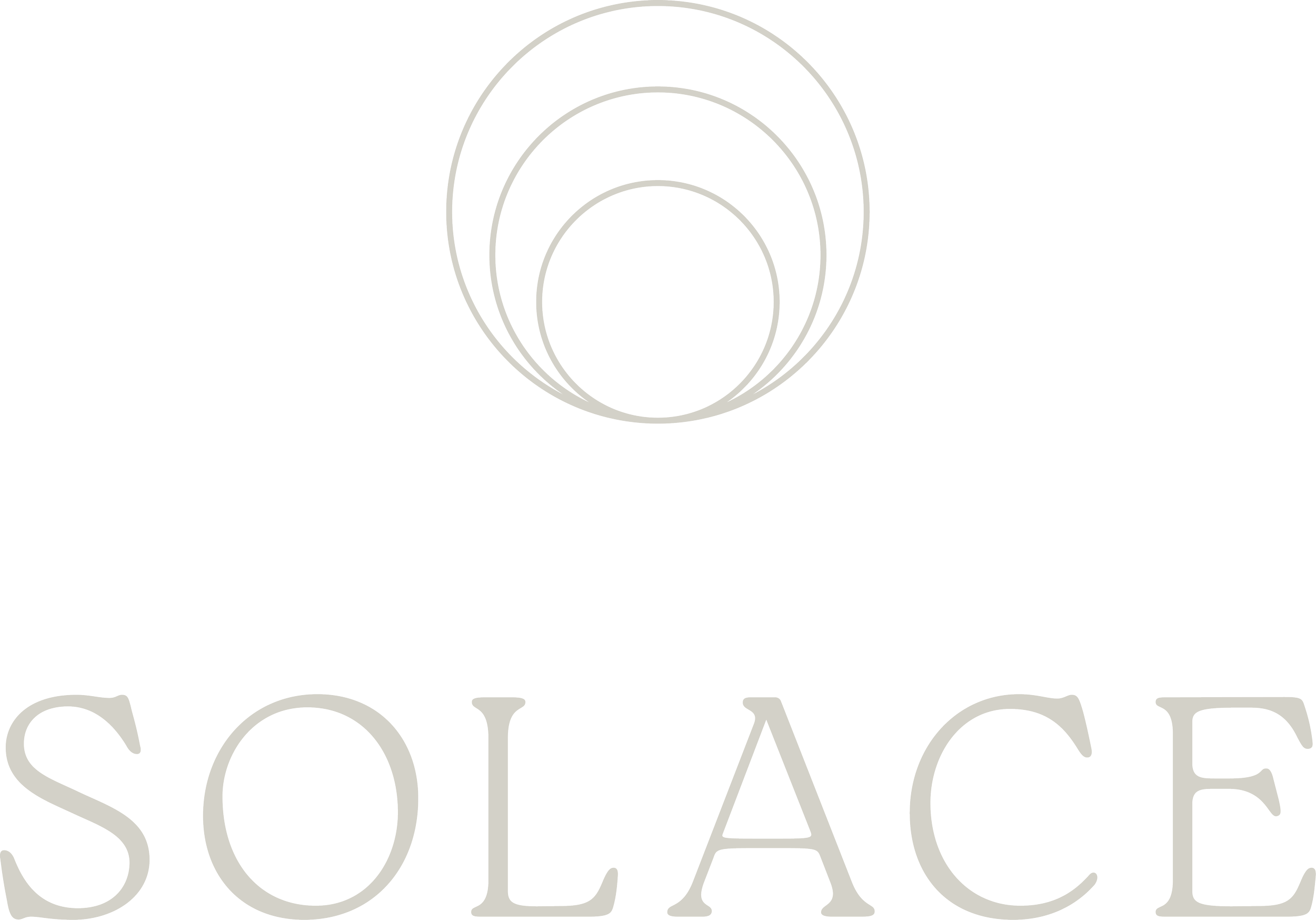 Logo with concentric circles forming a stylized sun above the word 'SOLACE' in uppercase letters.