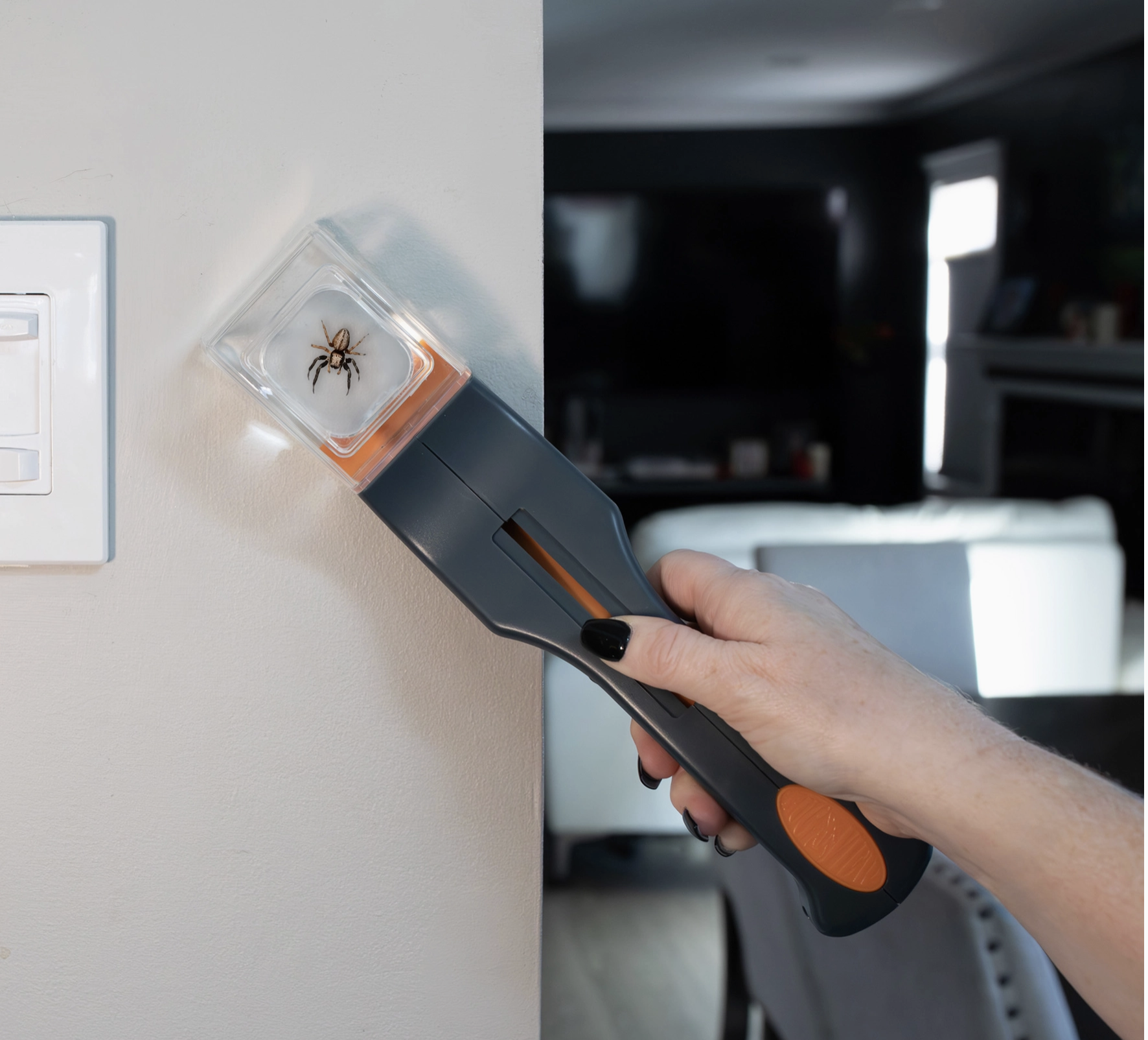 Humane Insect Catching Tool For Home, Quick Catch & Release.png