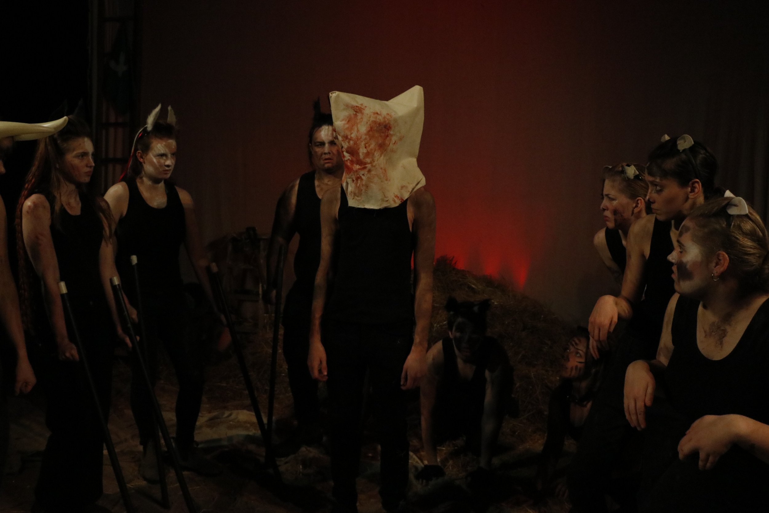 Women dressed as animals with painted faces, some wearing animal ears, in a dark setting with a red light in the background, possibly during a theatrical performance or costume event.