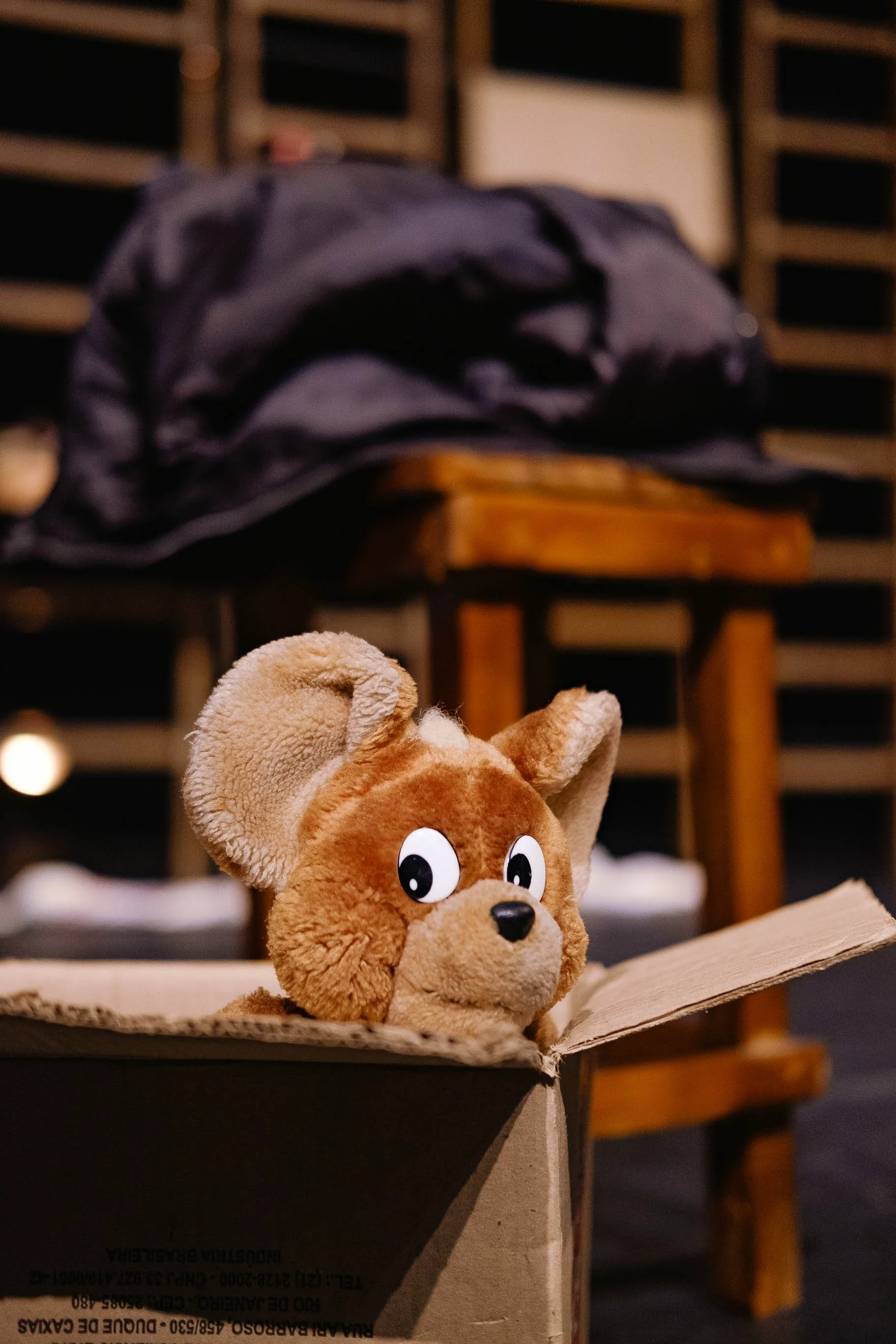 o-formigueiro-teatro-adolpho-bloch-352.jpg