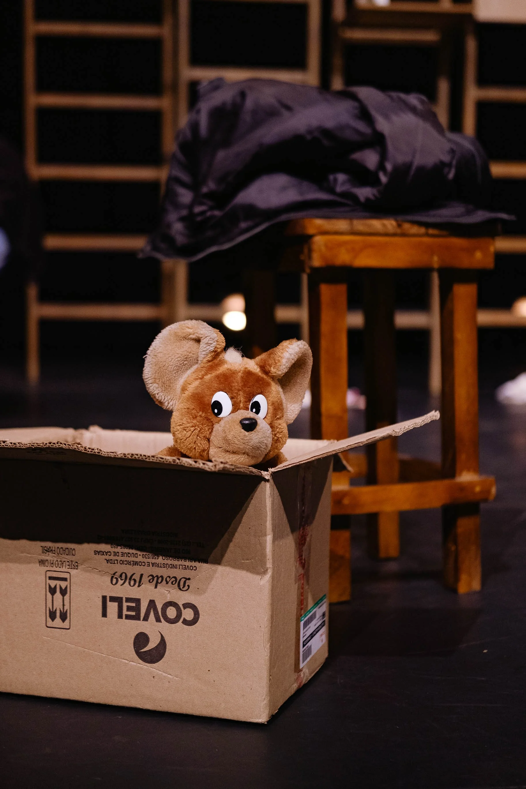 o-formigueiro-teatro-adolpho-bloch-351.jpg
