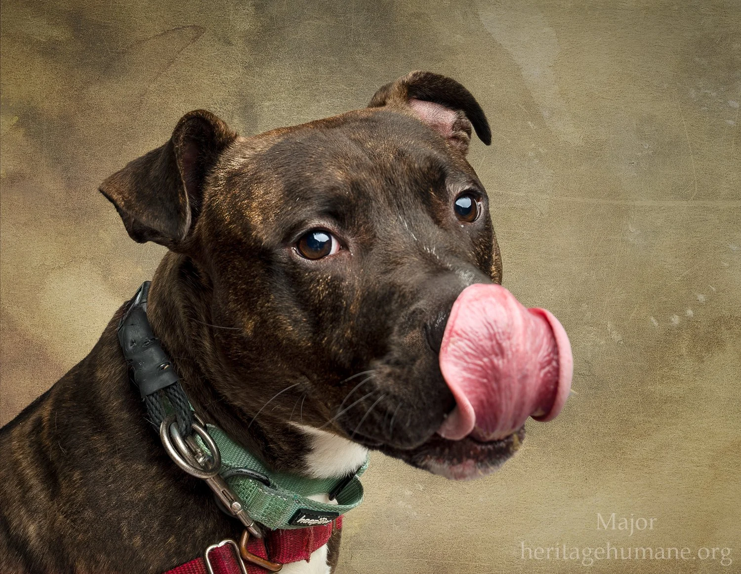 DSC09986-20240529 -Edit-Edit.jpg