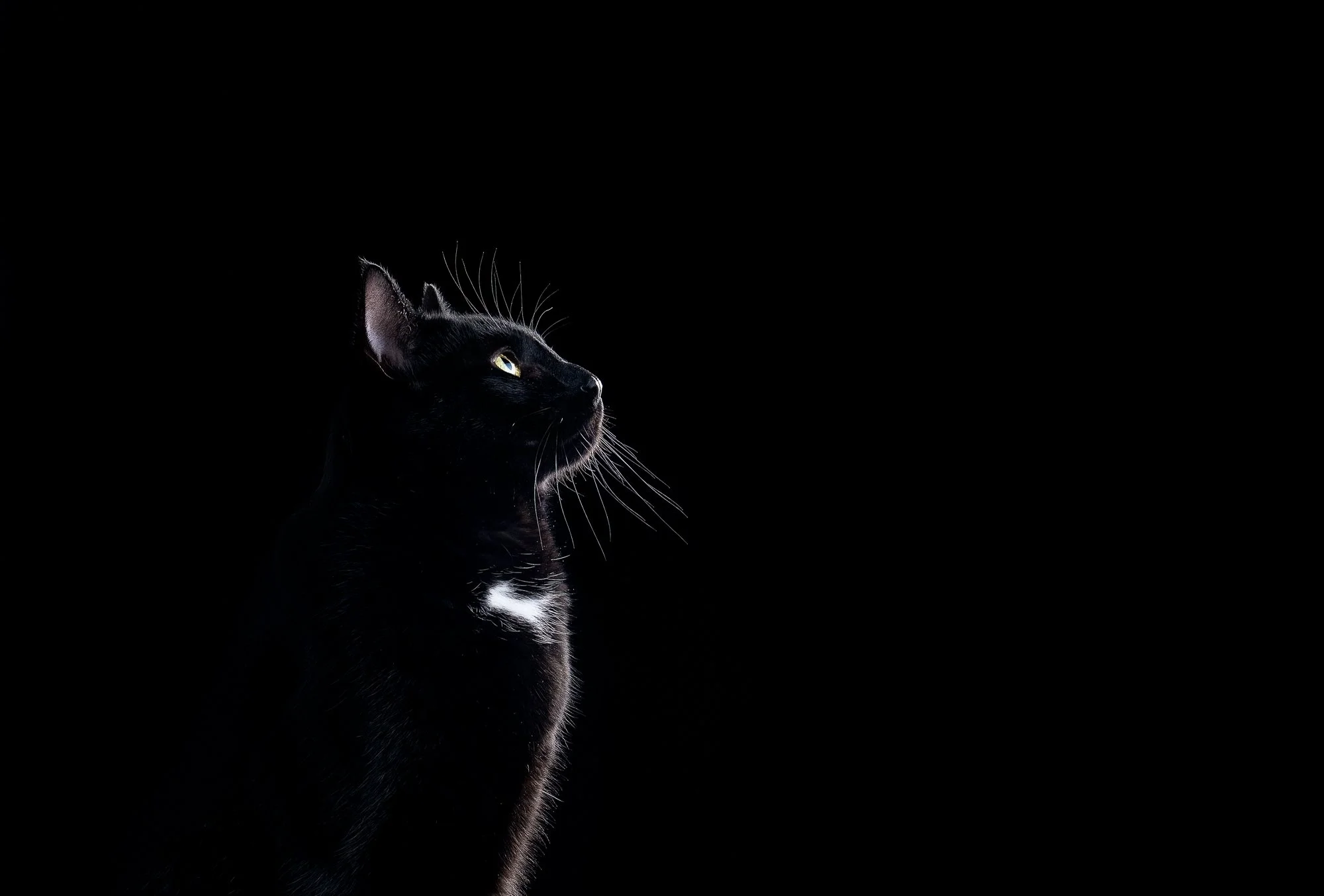 dream and darenegative space-539.jpg