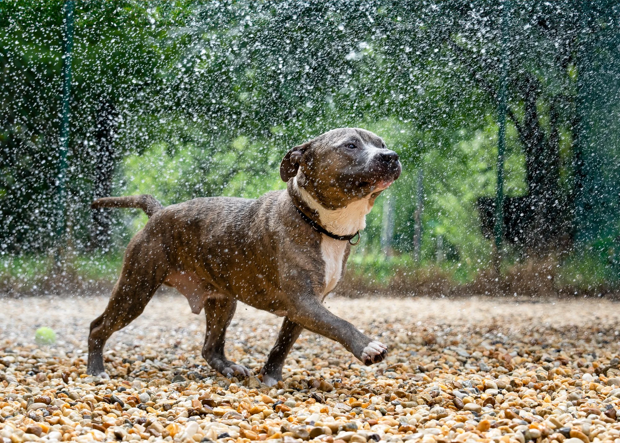 DSC09793-20240723 -Edit.jpg