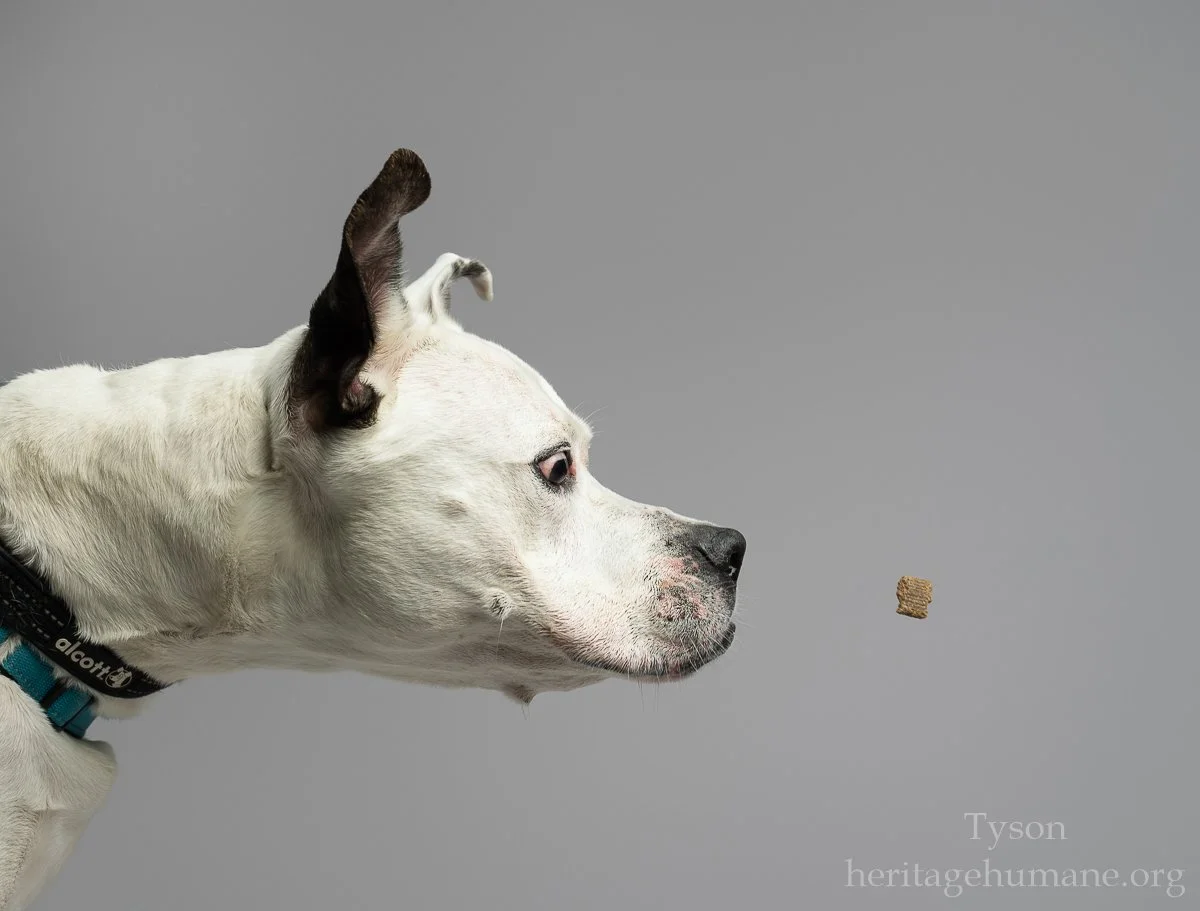 DSC00117-20240529 -Edit.jpg