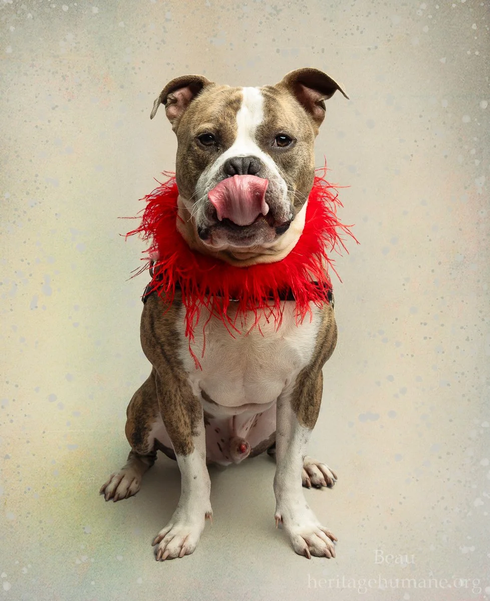 DSC09692-20240529 -Edit.jpg