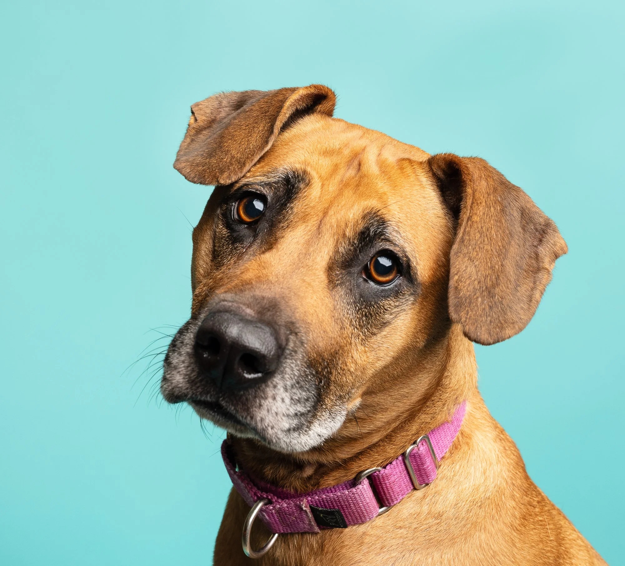 DSC01613-20231122 -Edit.jpg