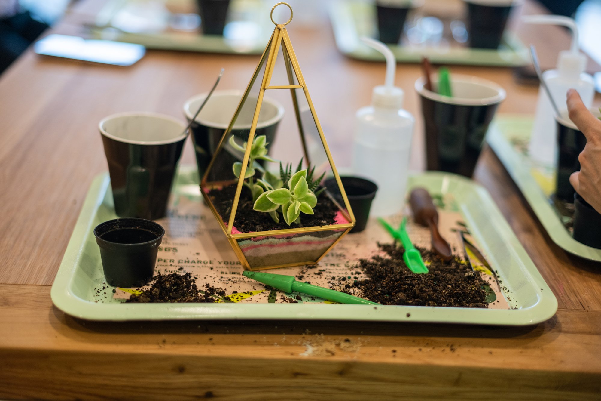 Copy of Little-Succers-New-Store-Class-563.jpg