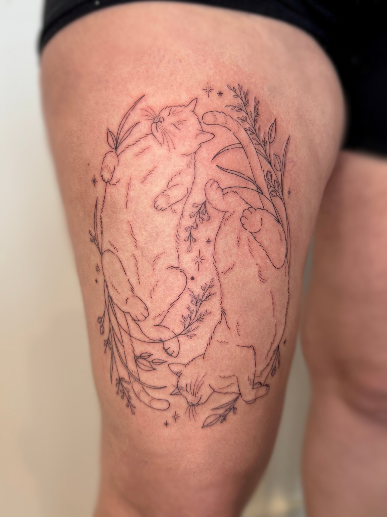 Untitled design (4).PNG