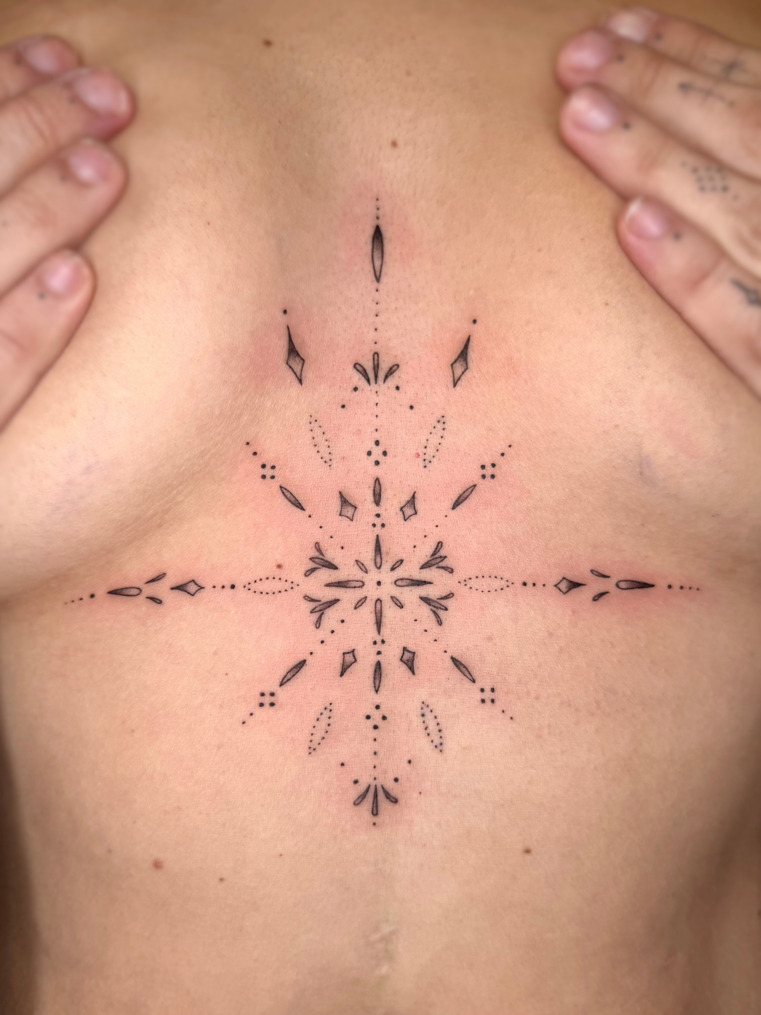 Untitled design (3).PNG