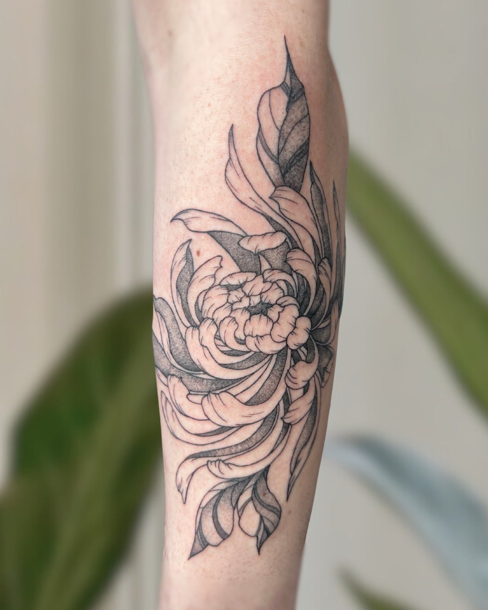 Untitled design.zip - 7.jpg