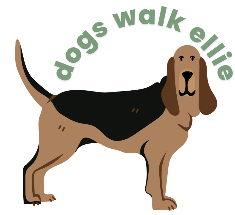 dogs walk ellie