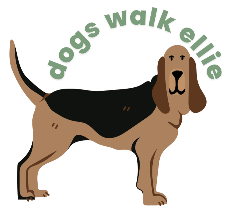 dogs walk ellie