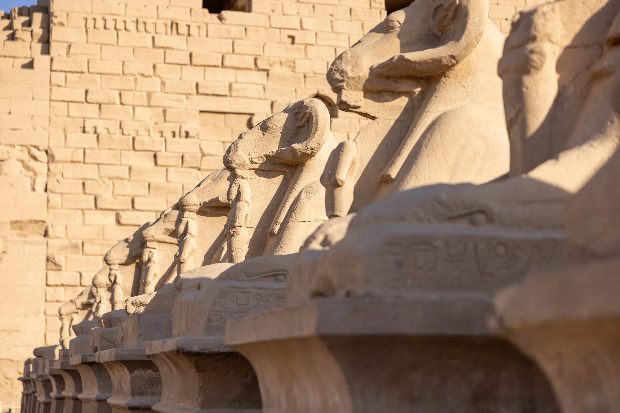 Egypt-4.jpg