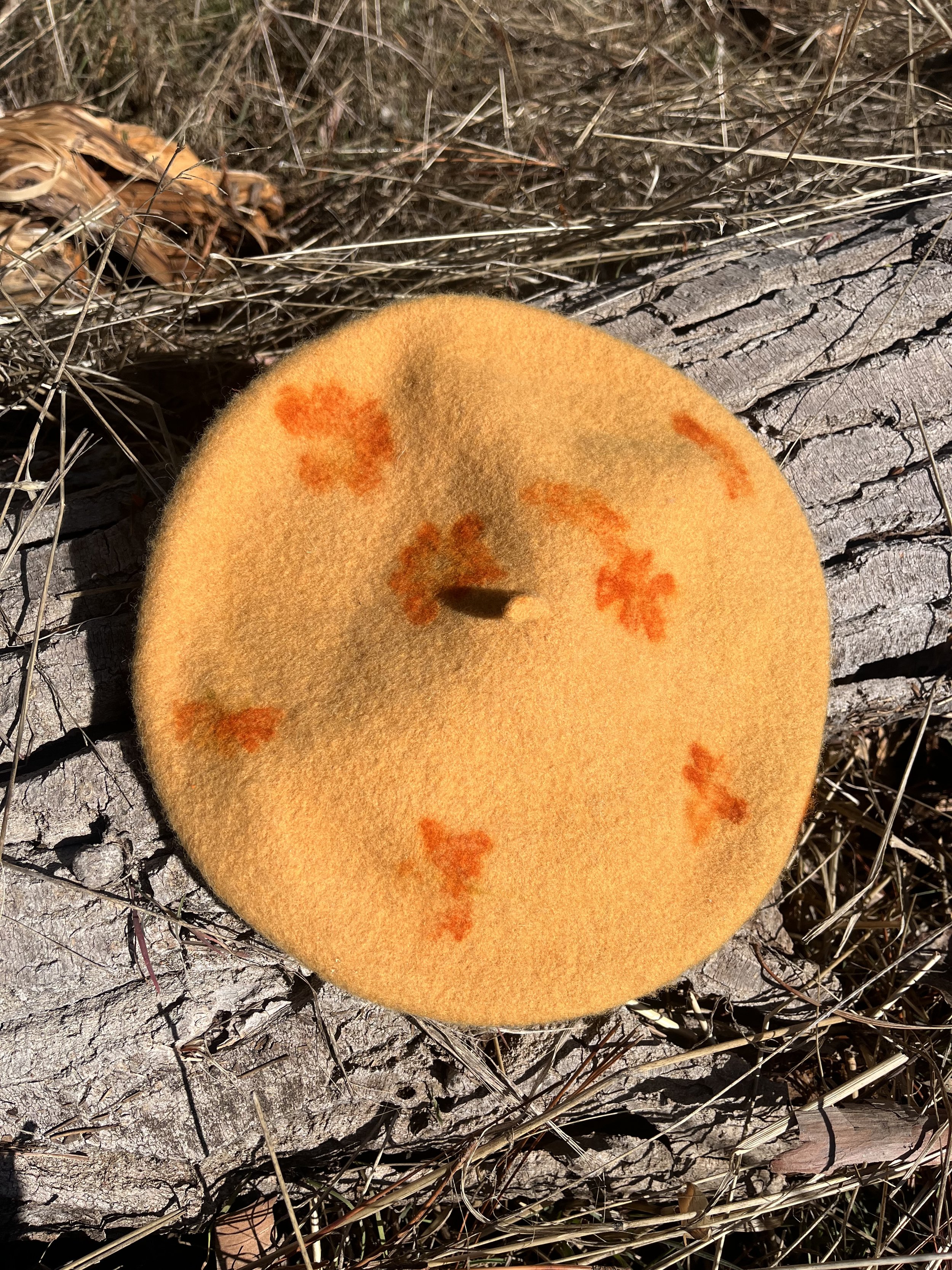 Sweet Orange Wool Beret