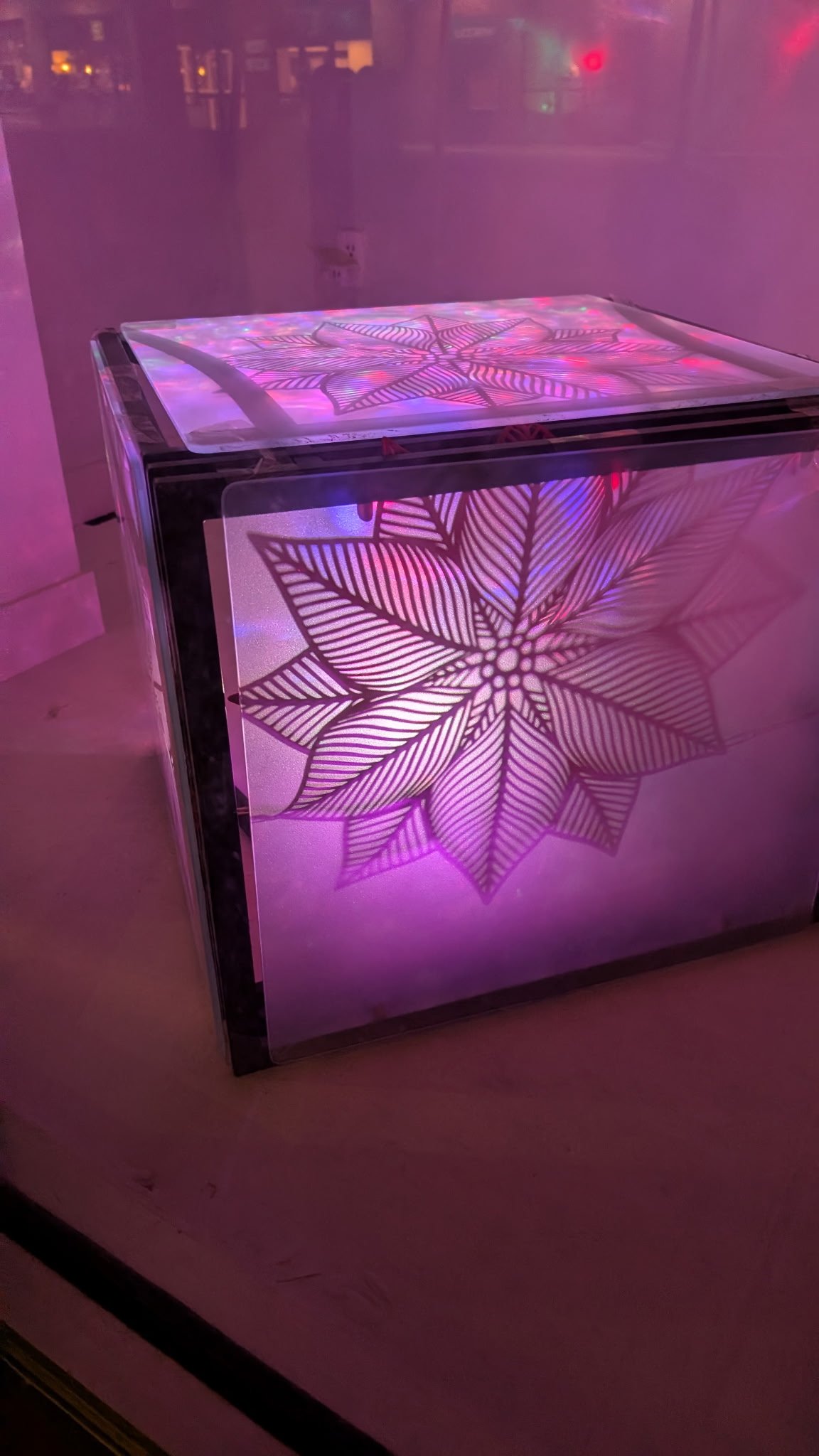 Aleeza McCant at Spaceworks Woolworth Window 2