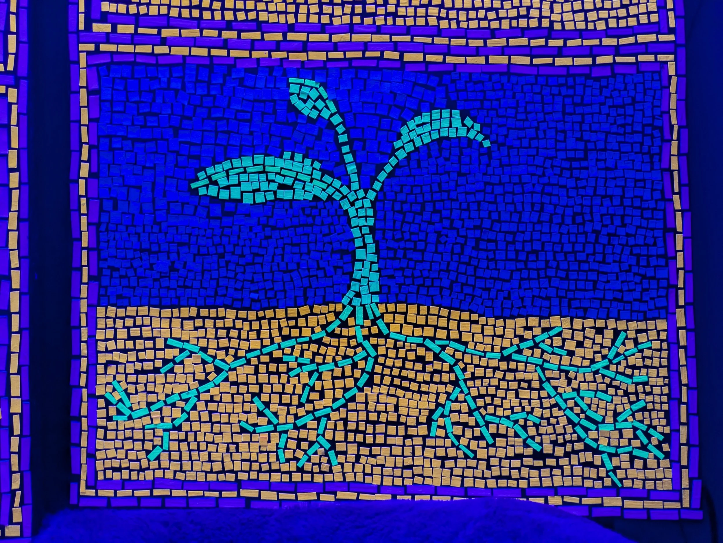 Never_Stop_Growing 2.jpg