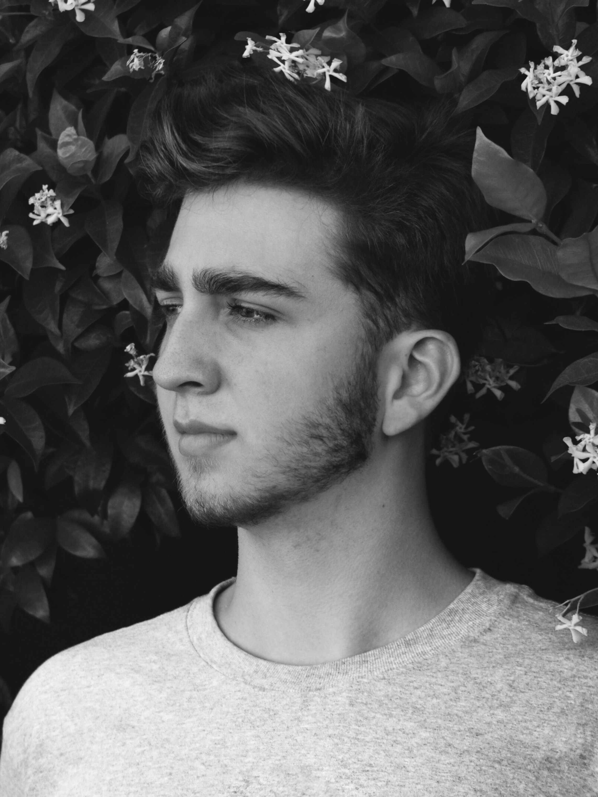 Untitled design (21).png