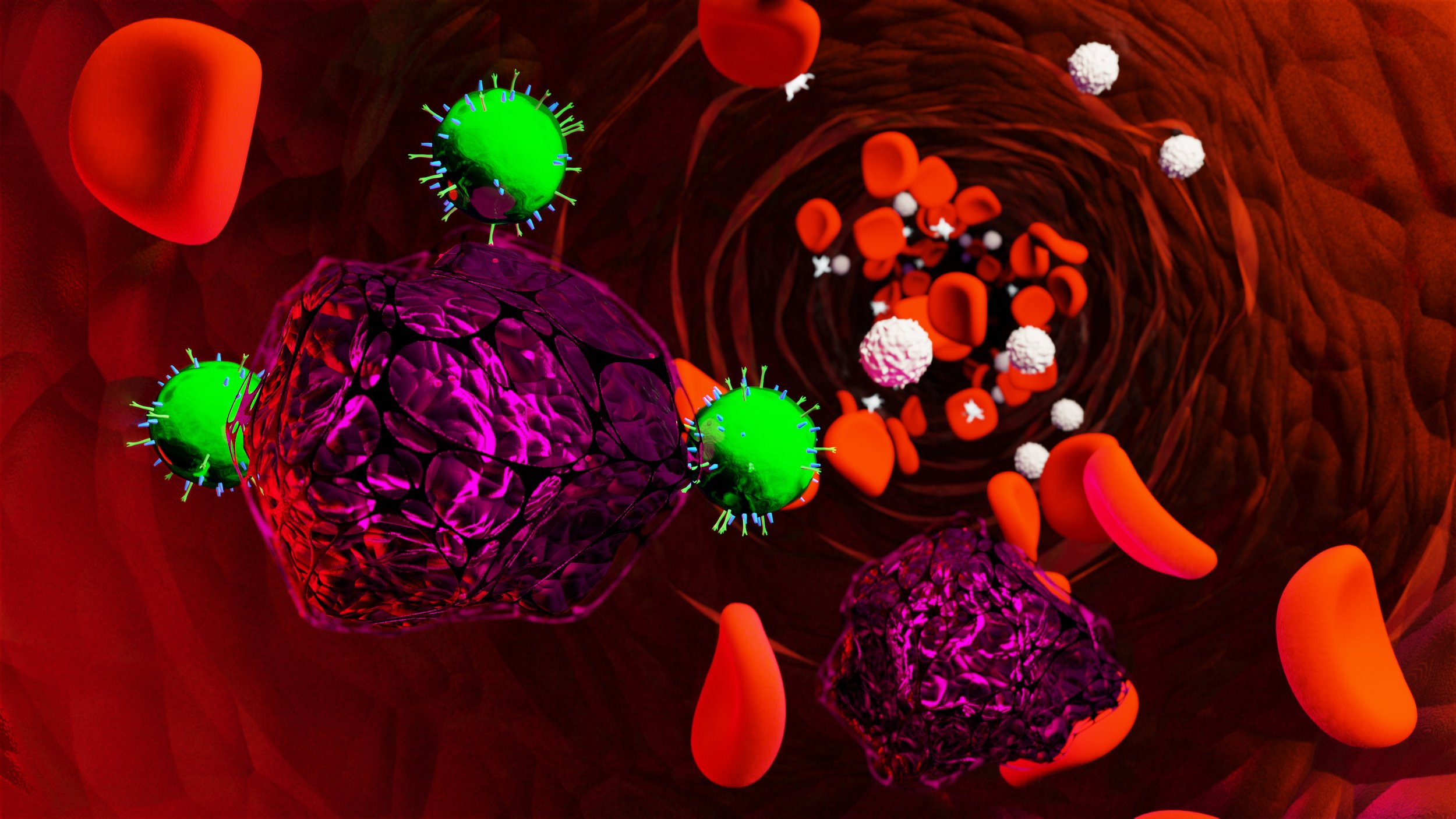 MoD HighRes_00006 copy.jpg