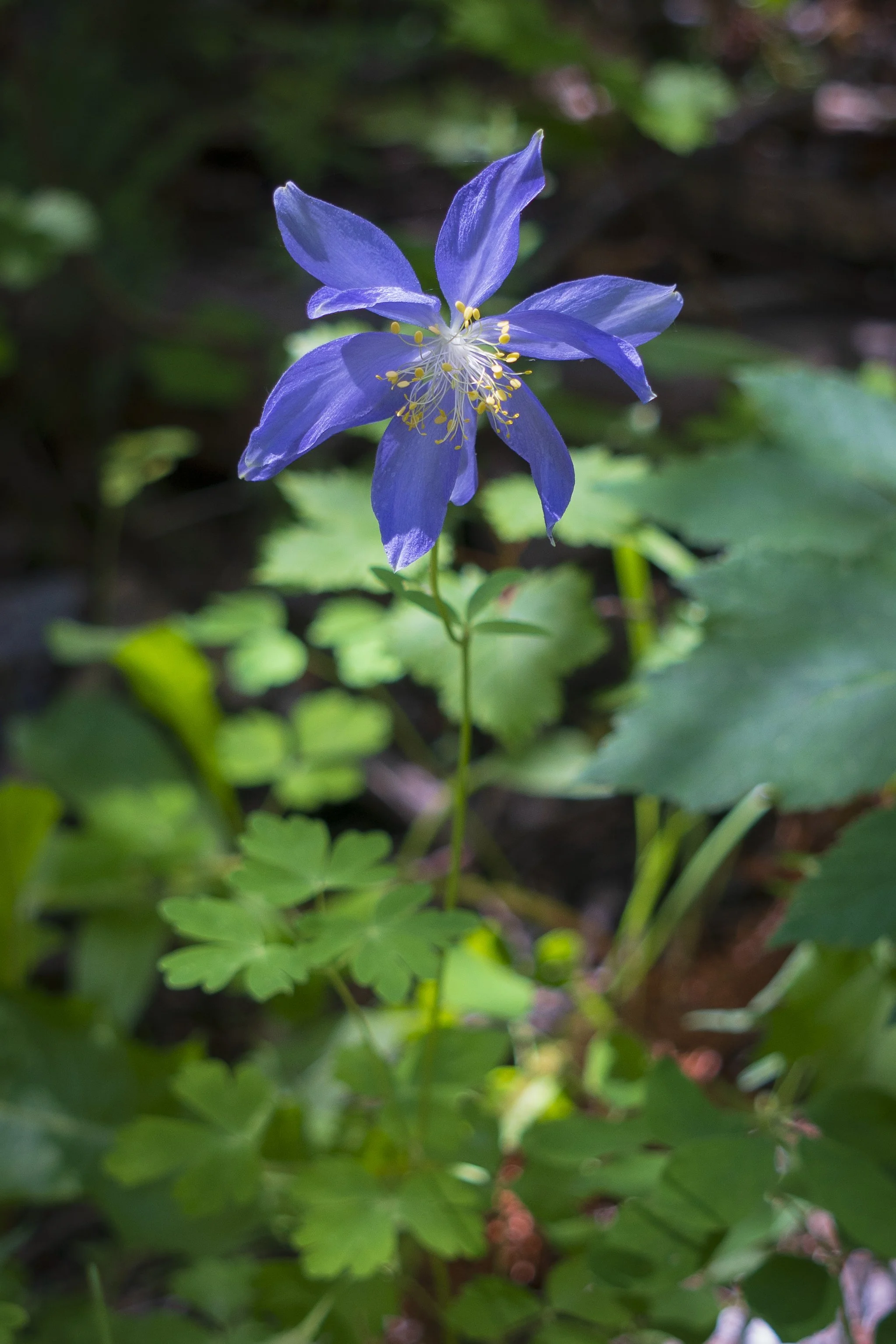2025_hike_1-5.jpg