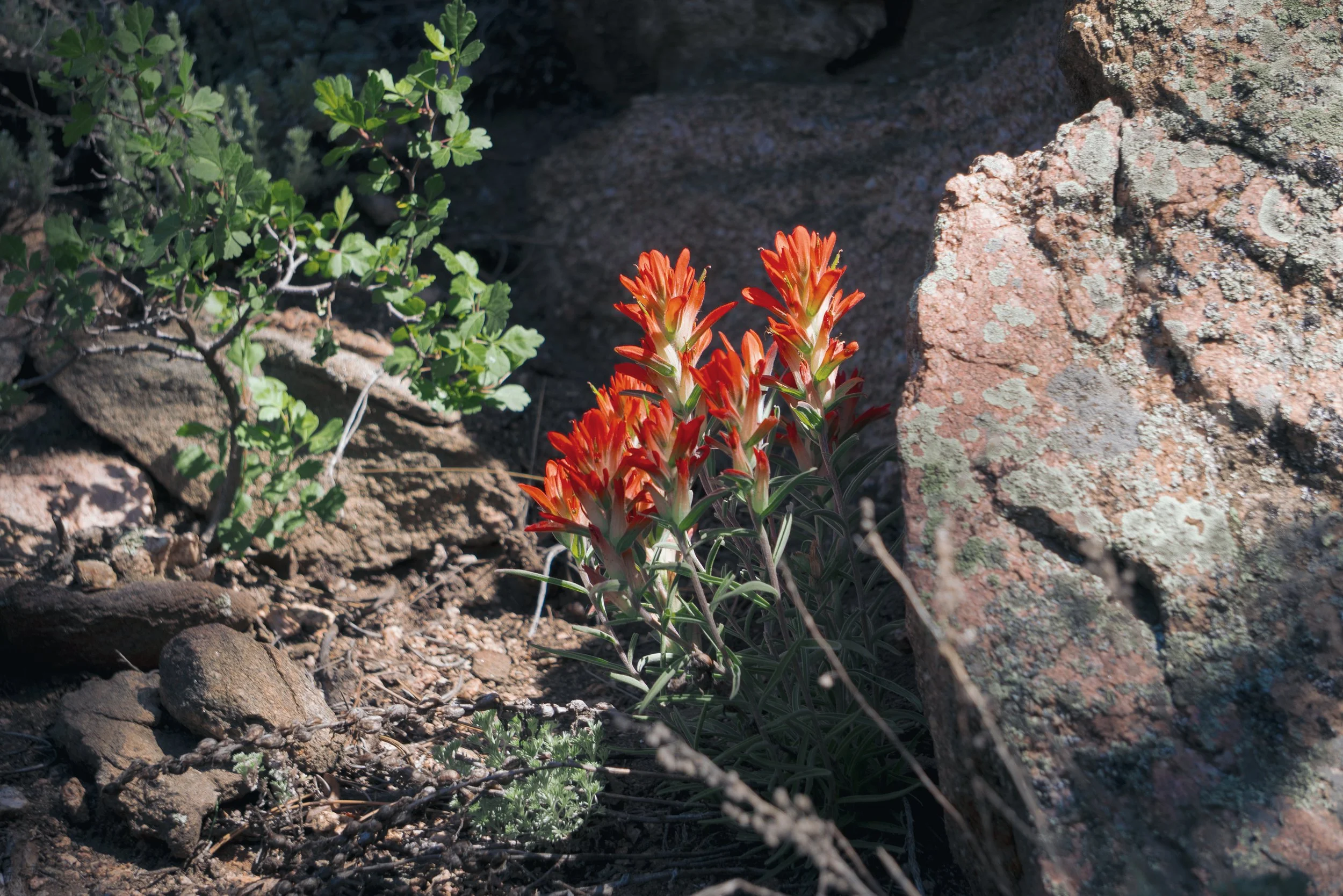 2025_hike_1-3.jpg