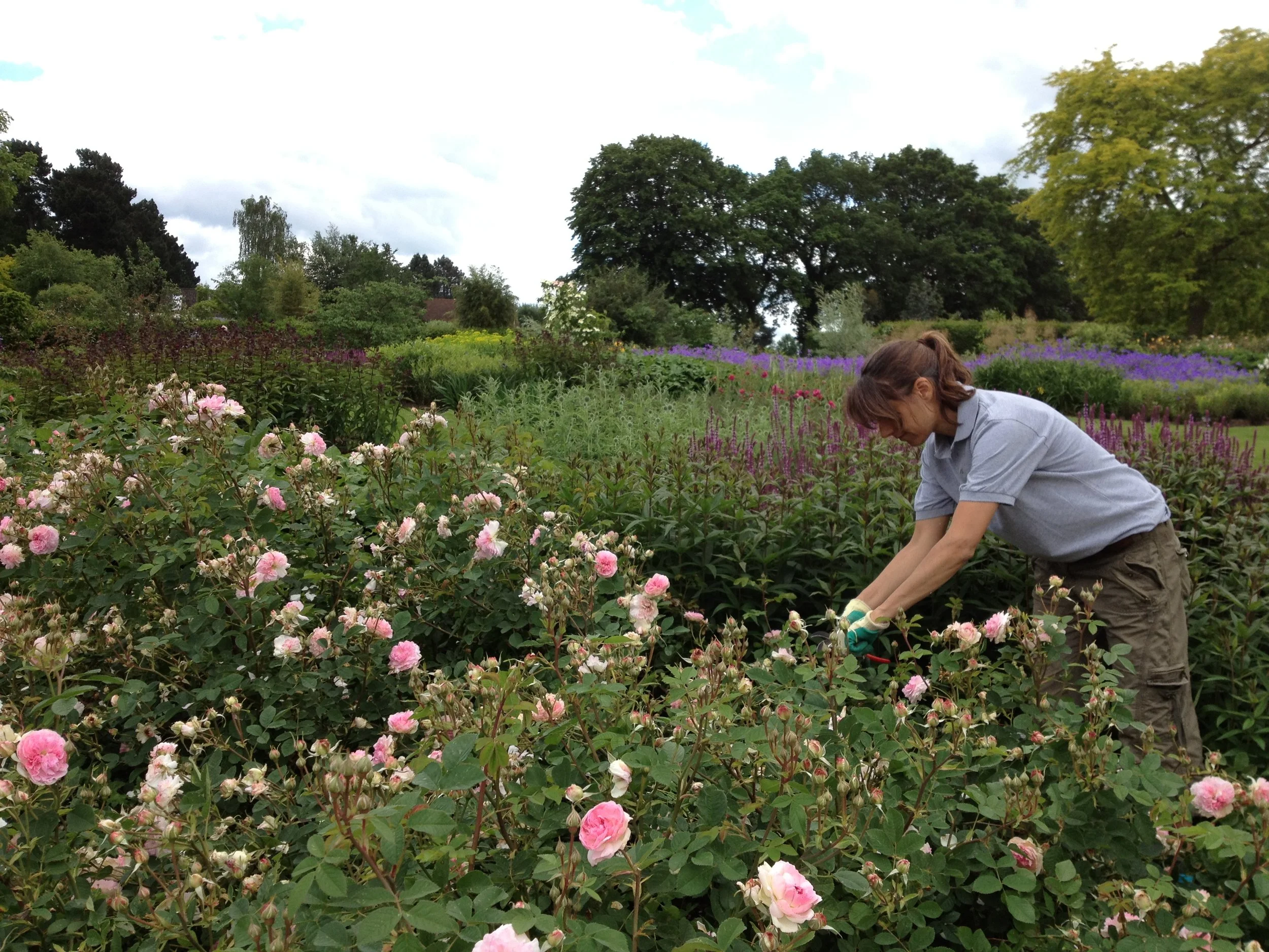 2012-06-18 15.39.05.jpg
