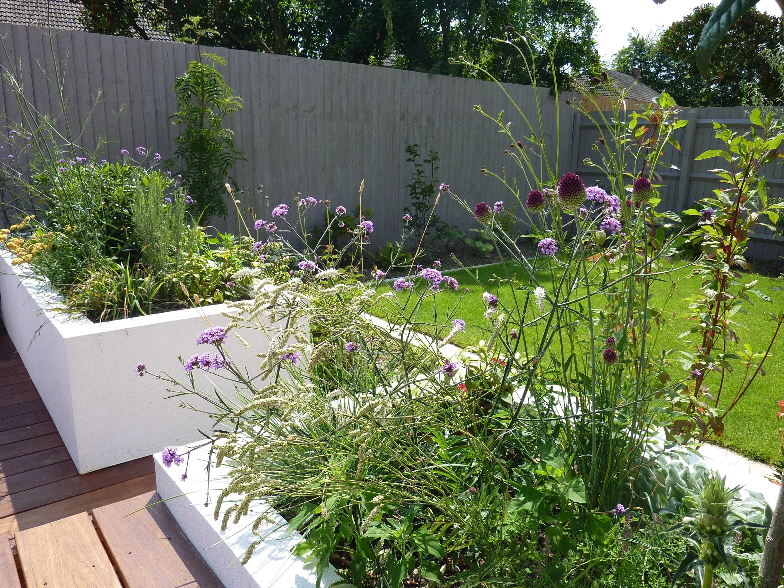 2015-07-09 13.45.16.jpg