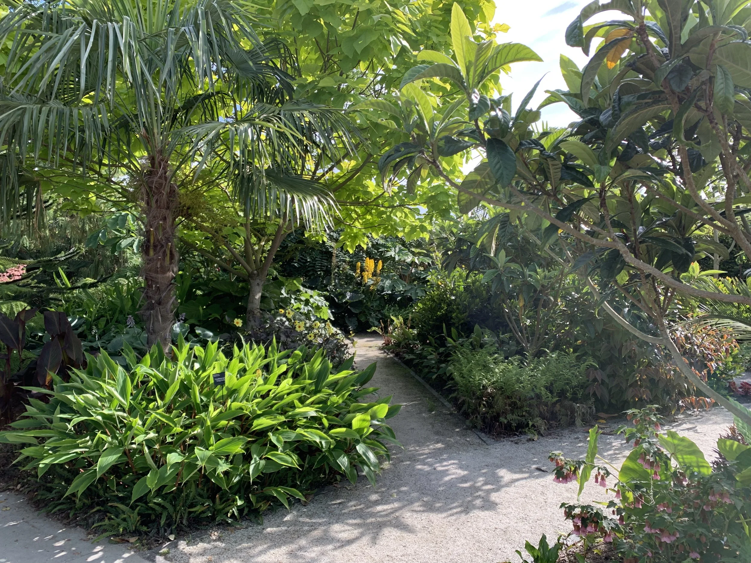 Giardini Botanici Hanbury, Italy