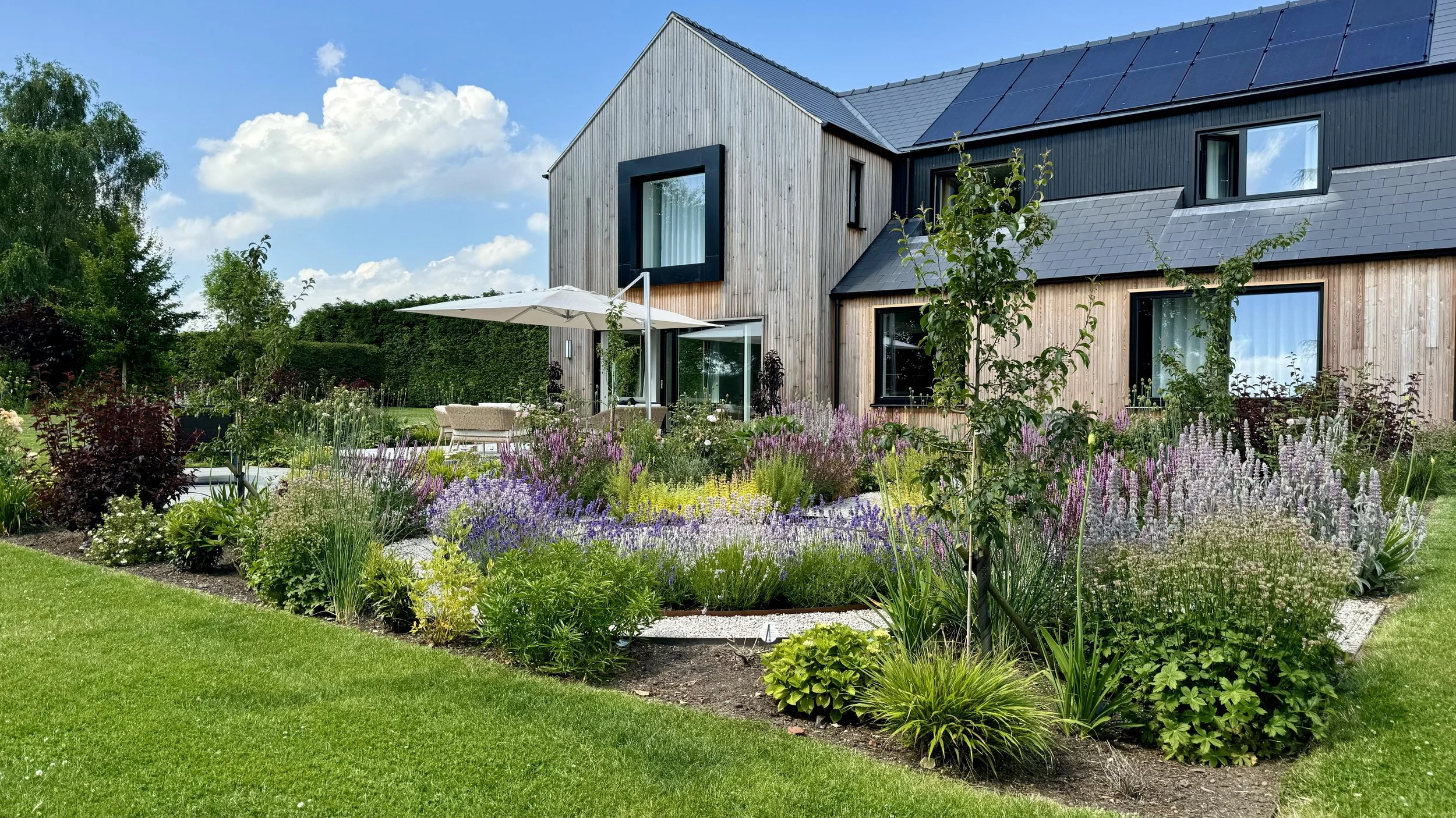 2024-06-26 15.15.13-1.jpg