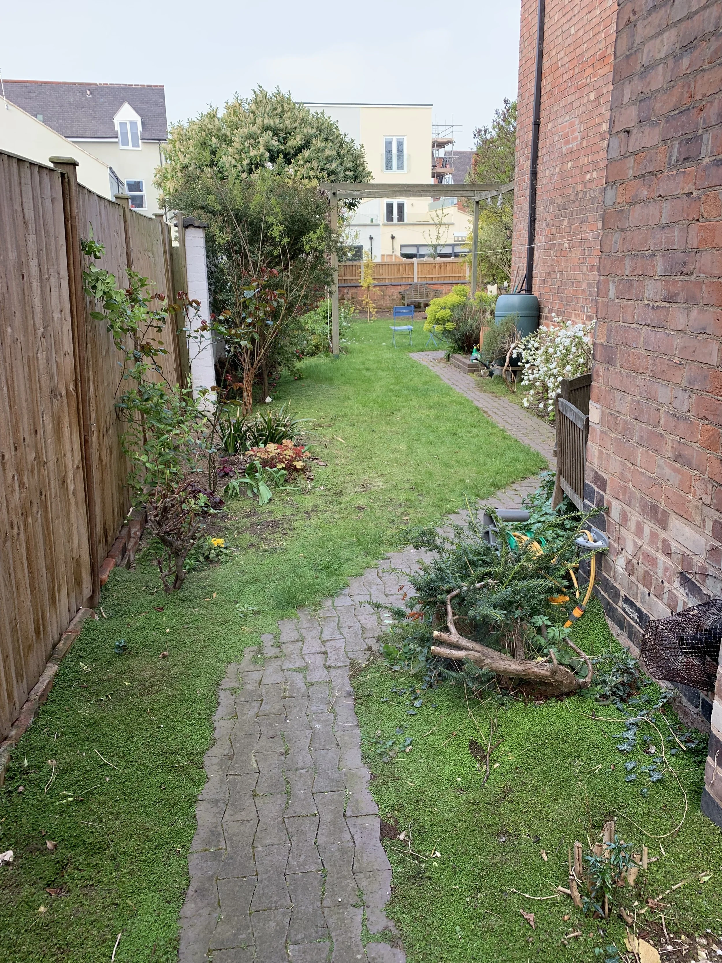 2019-04-08 10.38.06.jpg