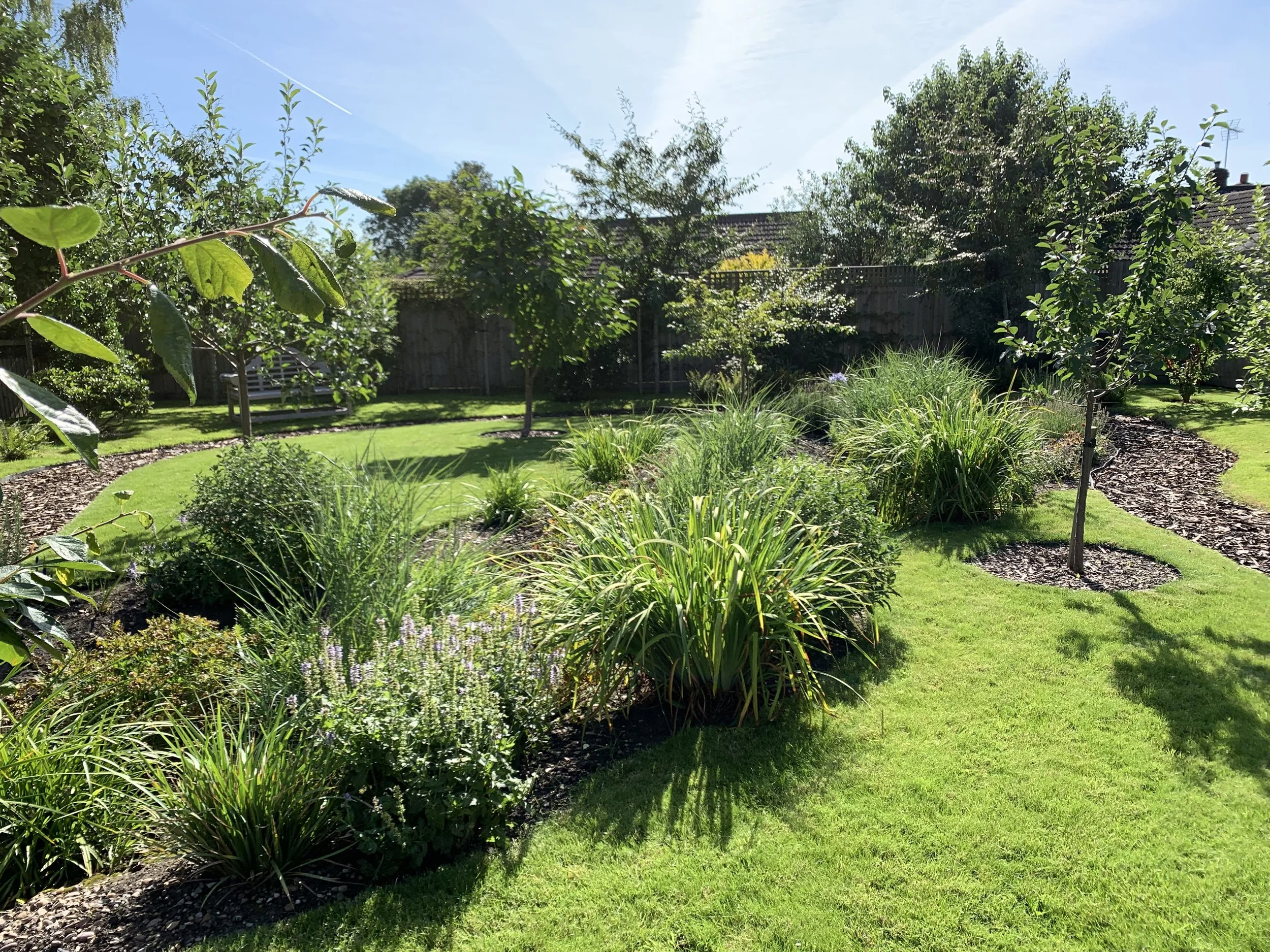 2023-08-09 10.04.28.jpg