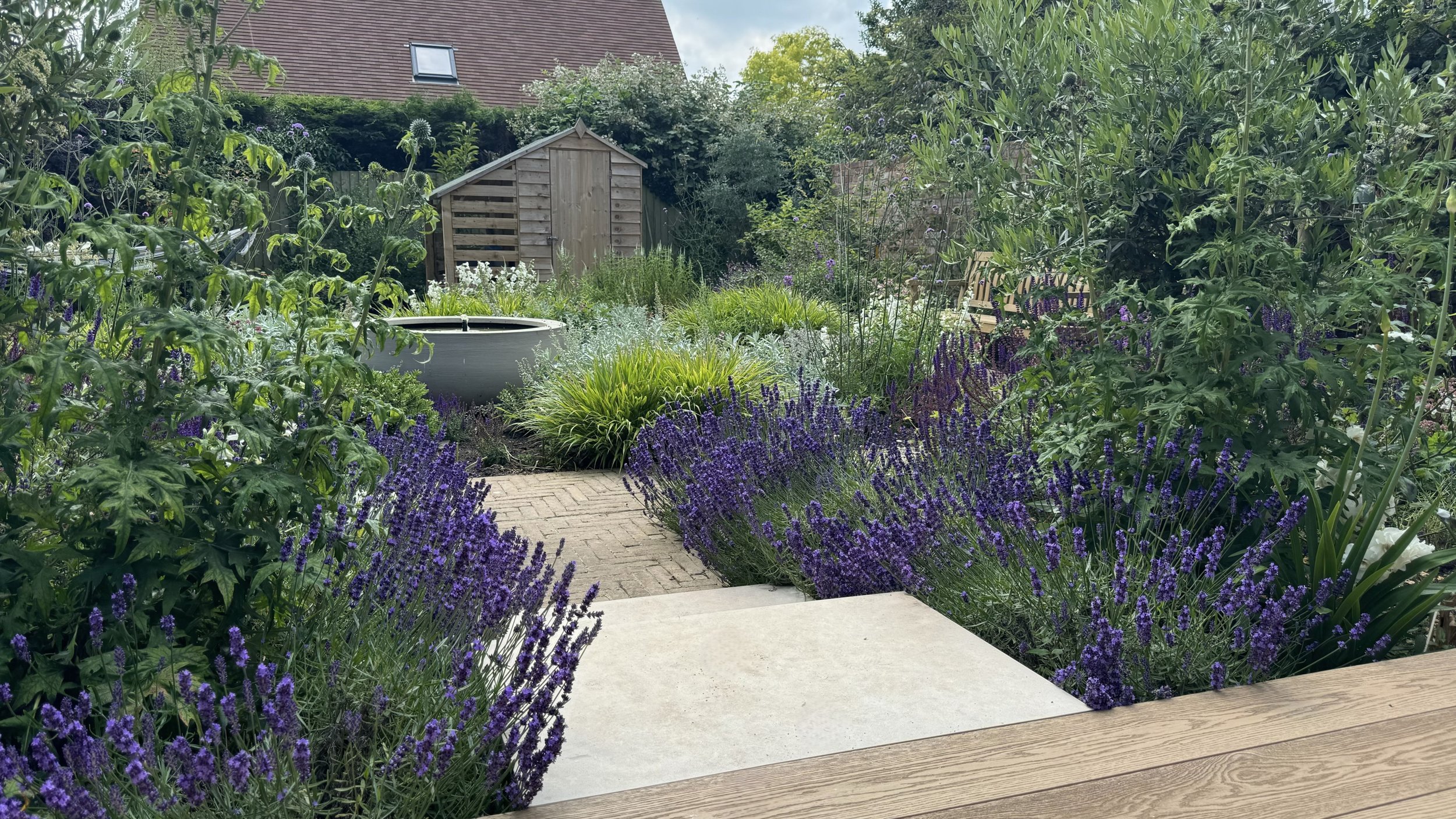 2024-06-26 13.53.50.jpg