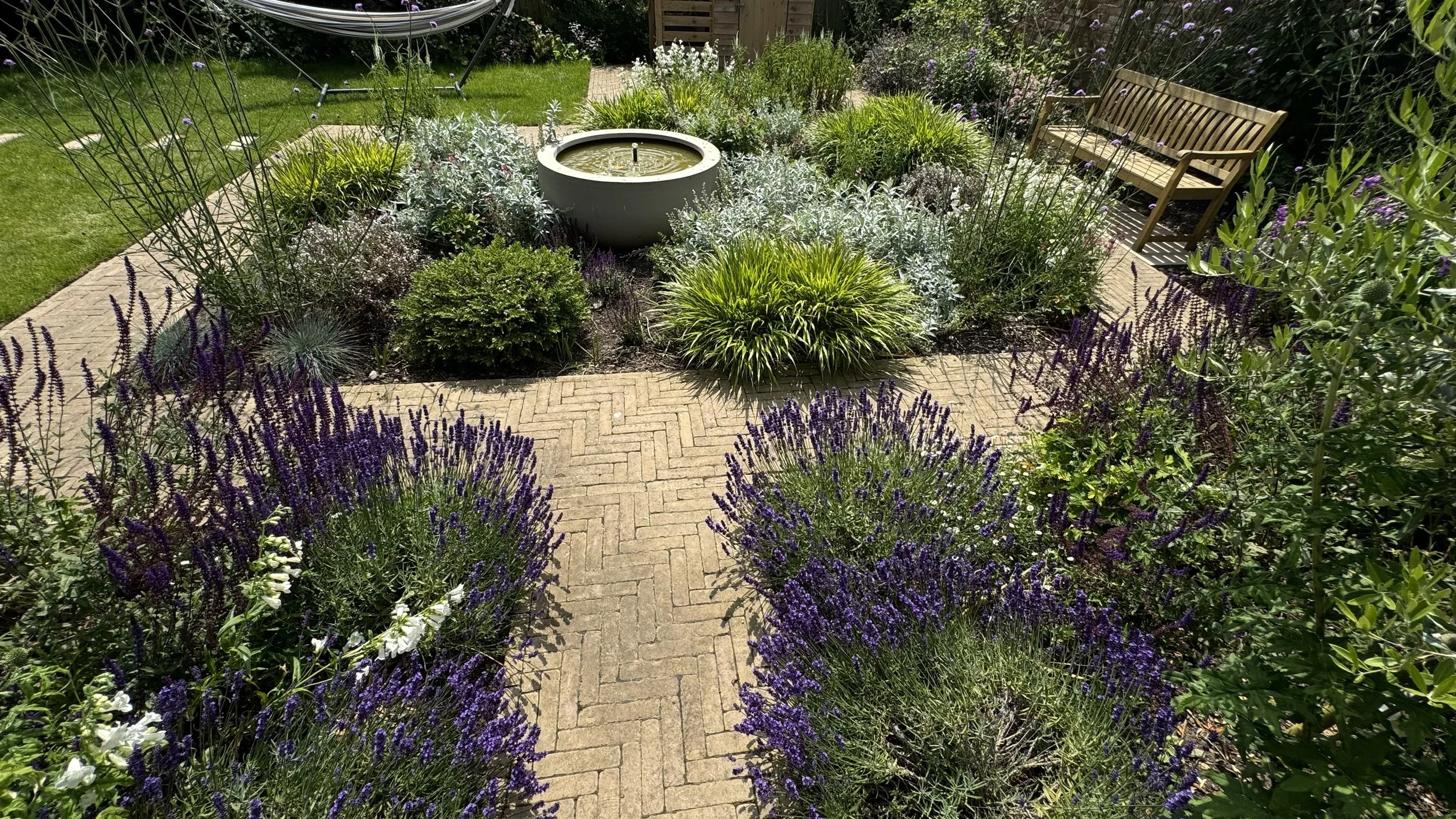 2024-06-26 13.55.07.jpg